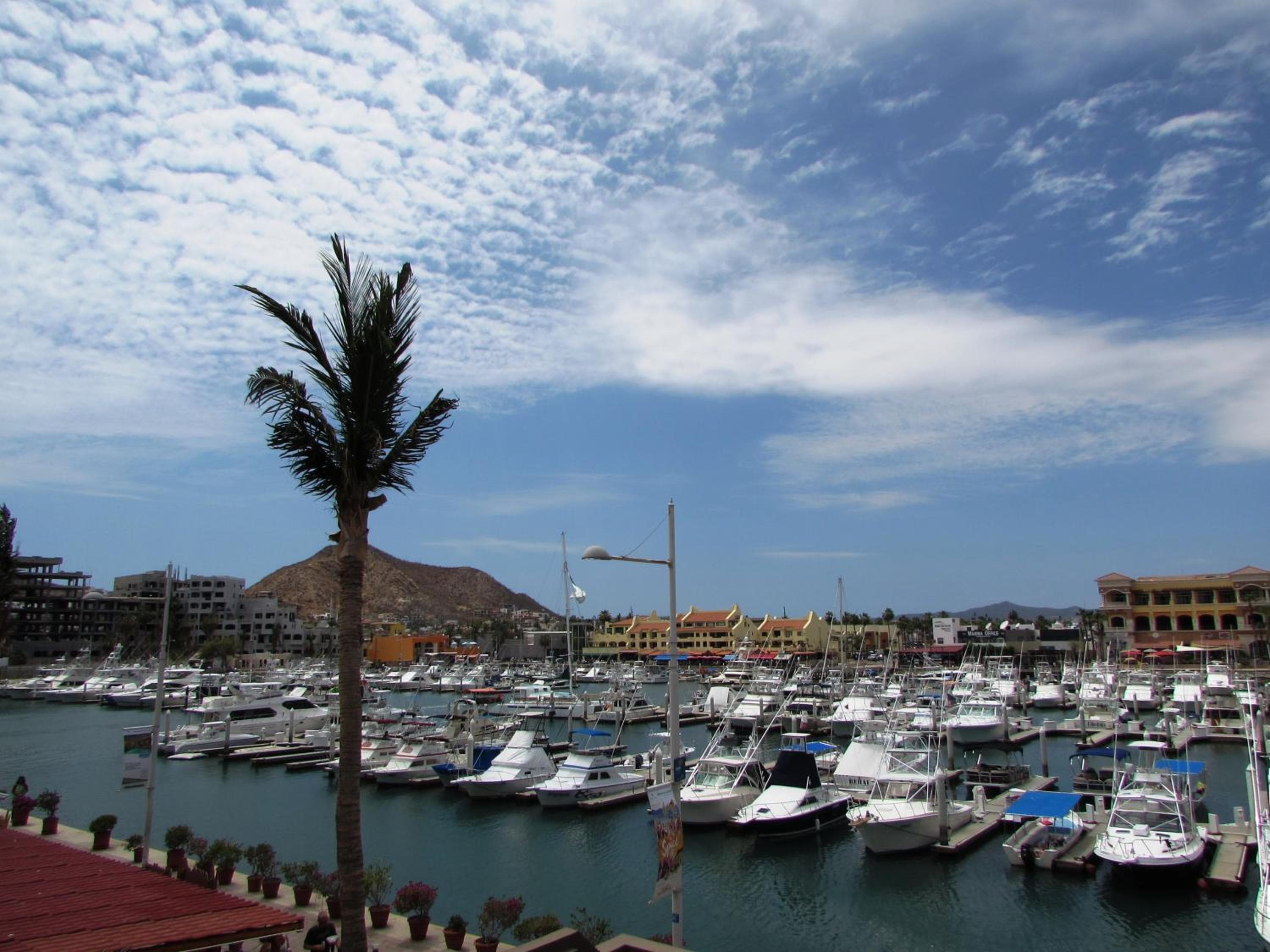 Marina Cabo Plaza Town & Beach condomini — 3