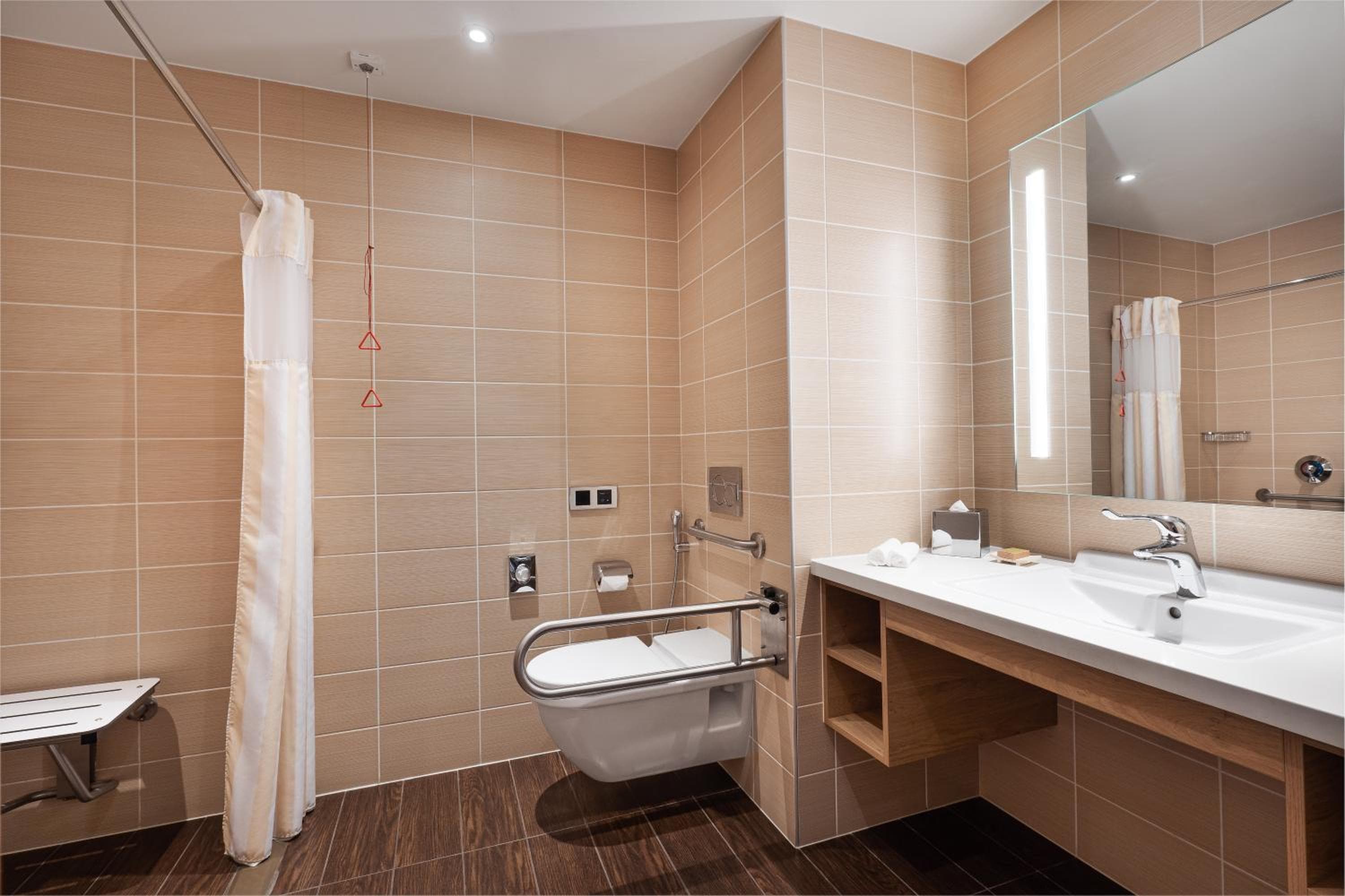 Hilton Garden Inn Dubai, Mall Avenue — 3