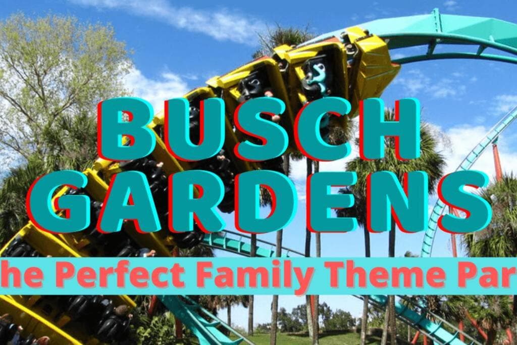 Hidden Gem 3br/1b+Jacuzzi+busch garden+fishn+kayak — 26