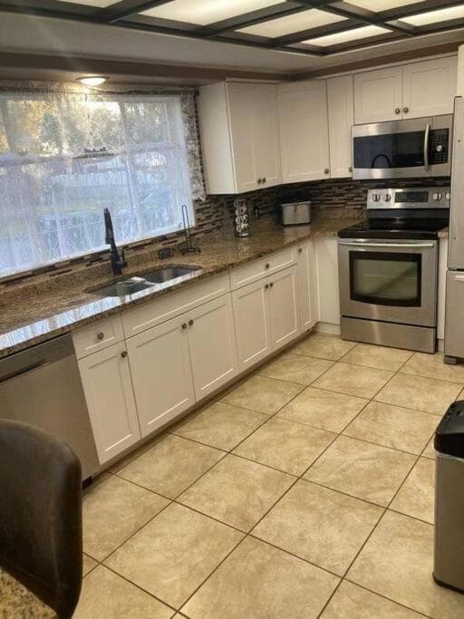 Hidden Gem 3br/1b+Jacuzzi+busch garden+fishn+kayak — 15