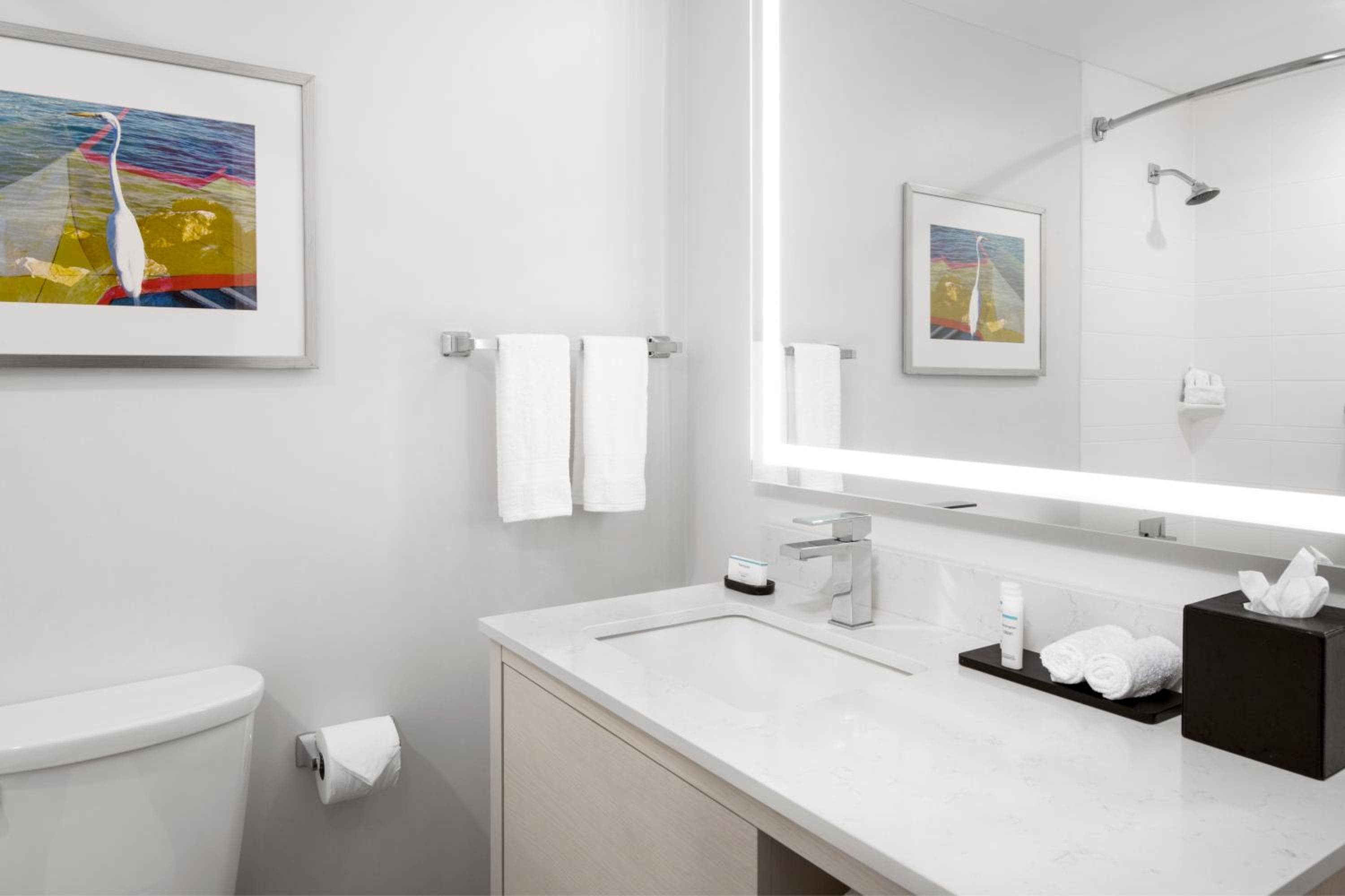 Embassy Suites by Hilton Tampa Airport Westshore — 8