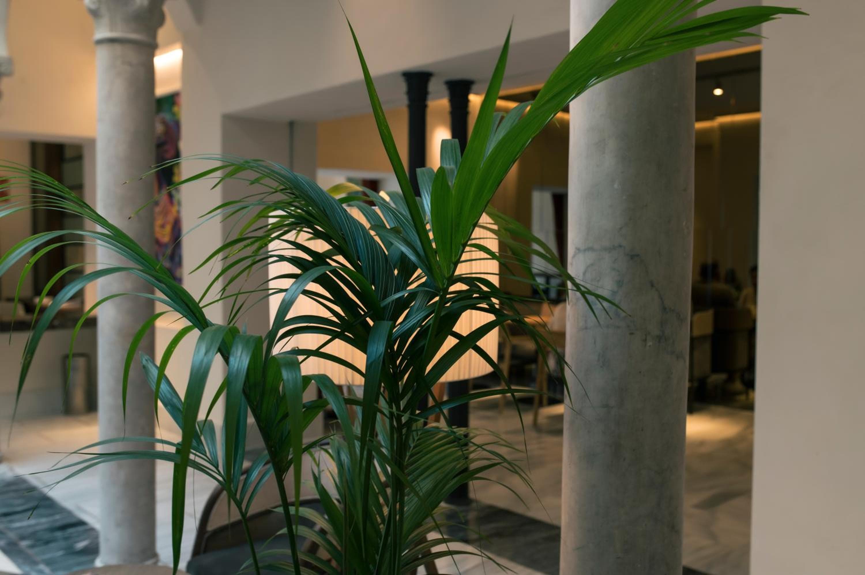 Legado Magdalena Hotel — 19