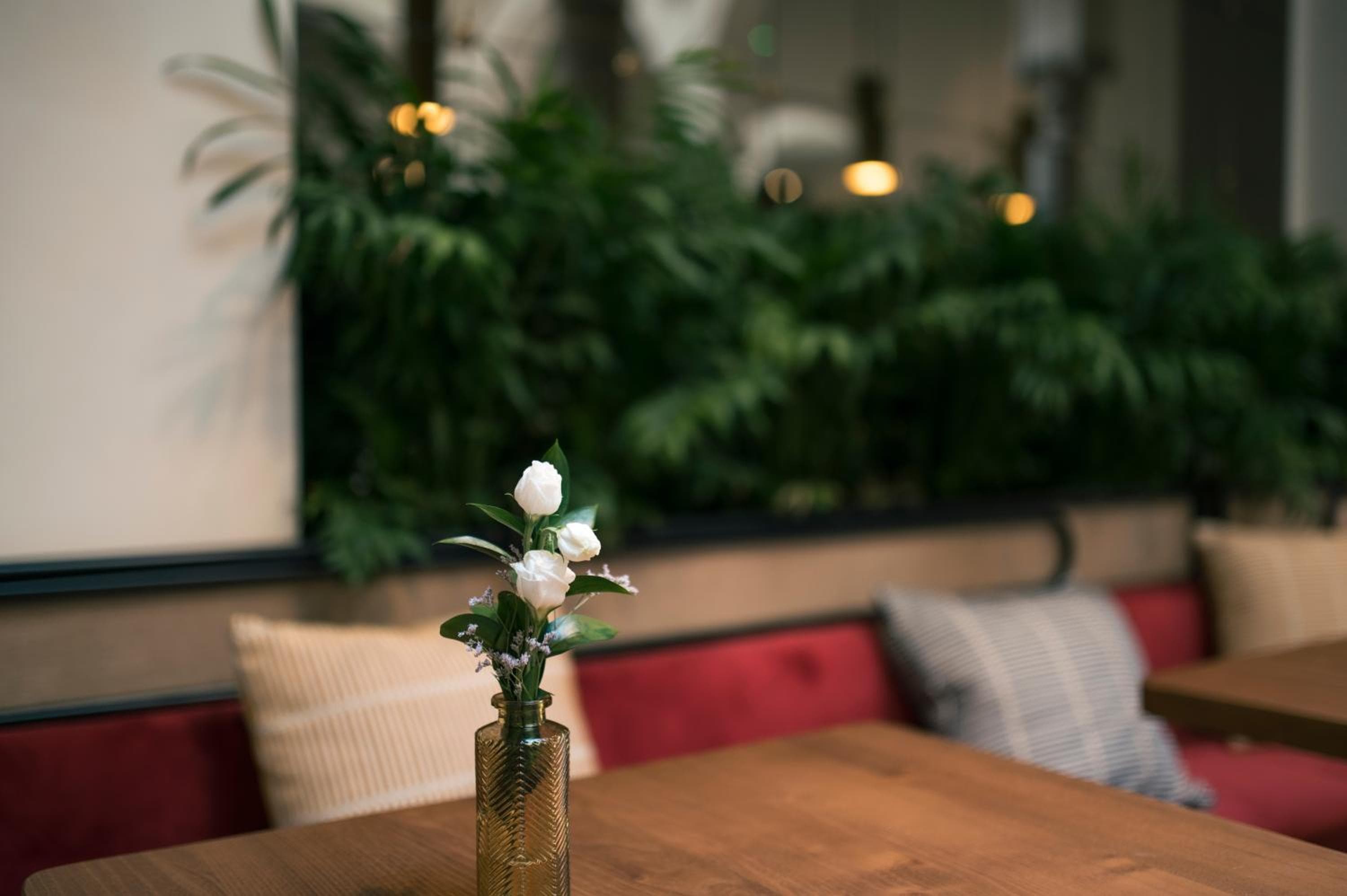 Legado Magdalena Hotel — 24