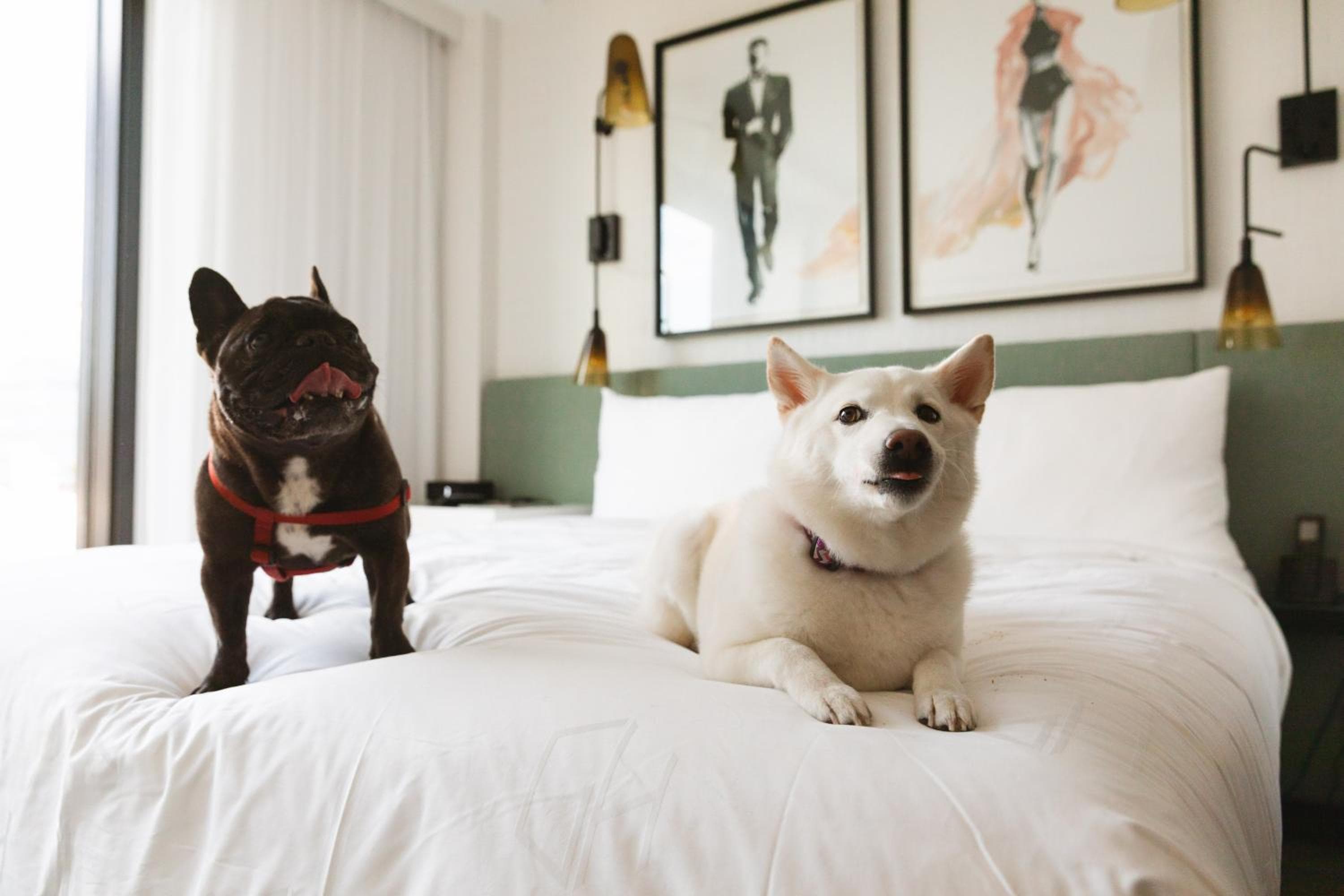 The Godfrey Hotel Hollywood — 13