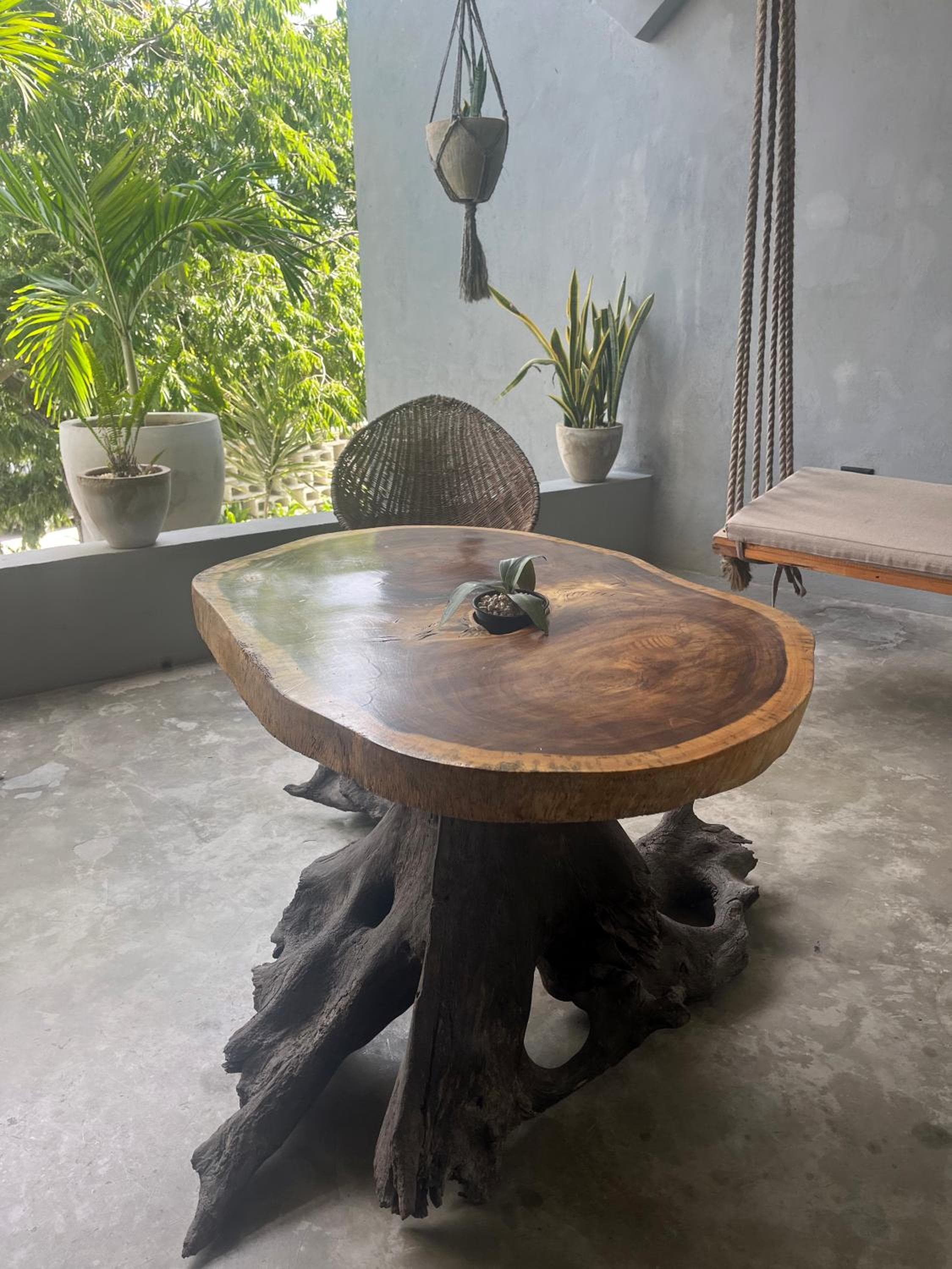 BAU Tulum — 17