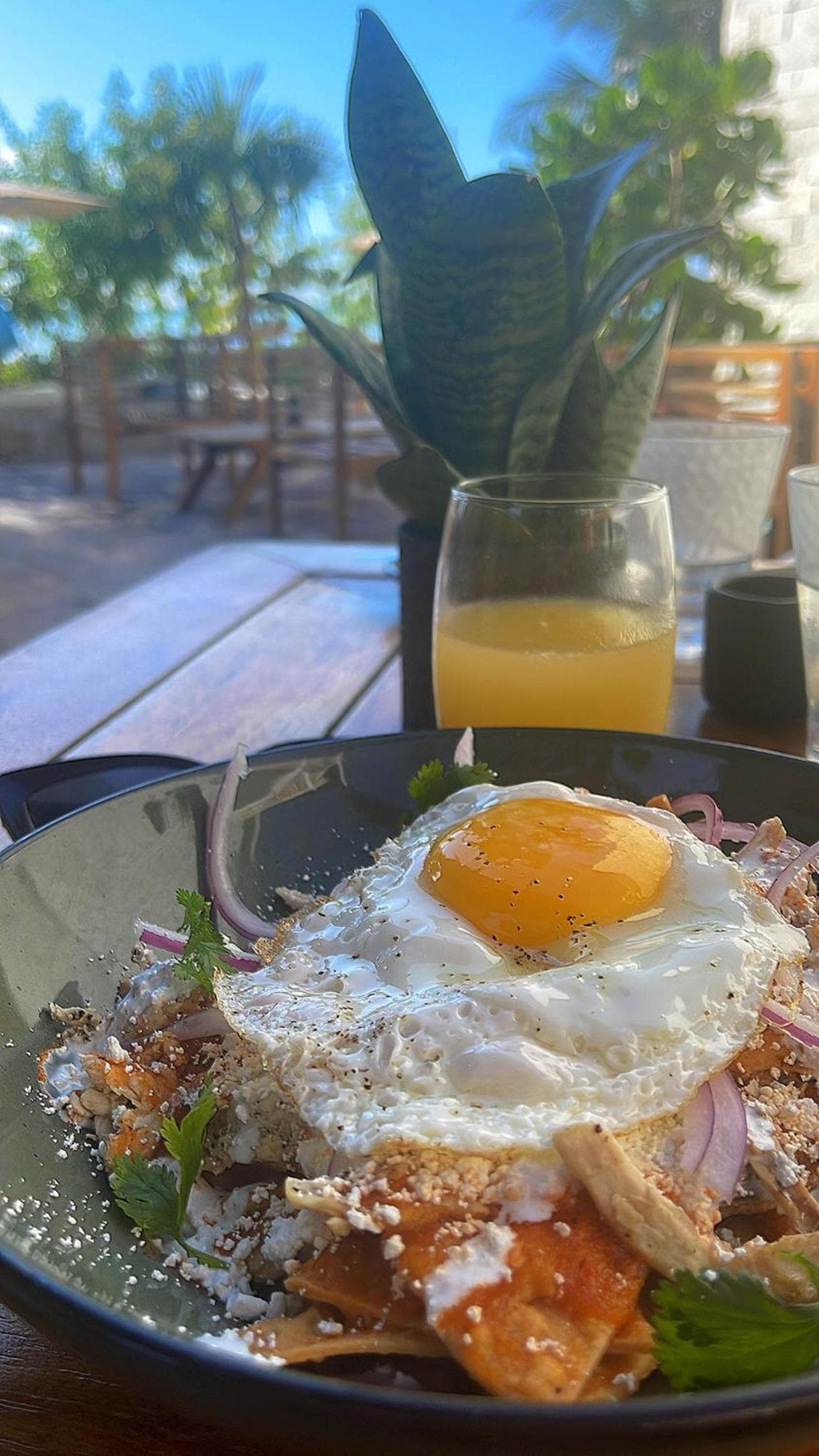 Alea Tulum — 6