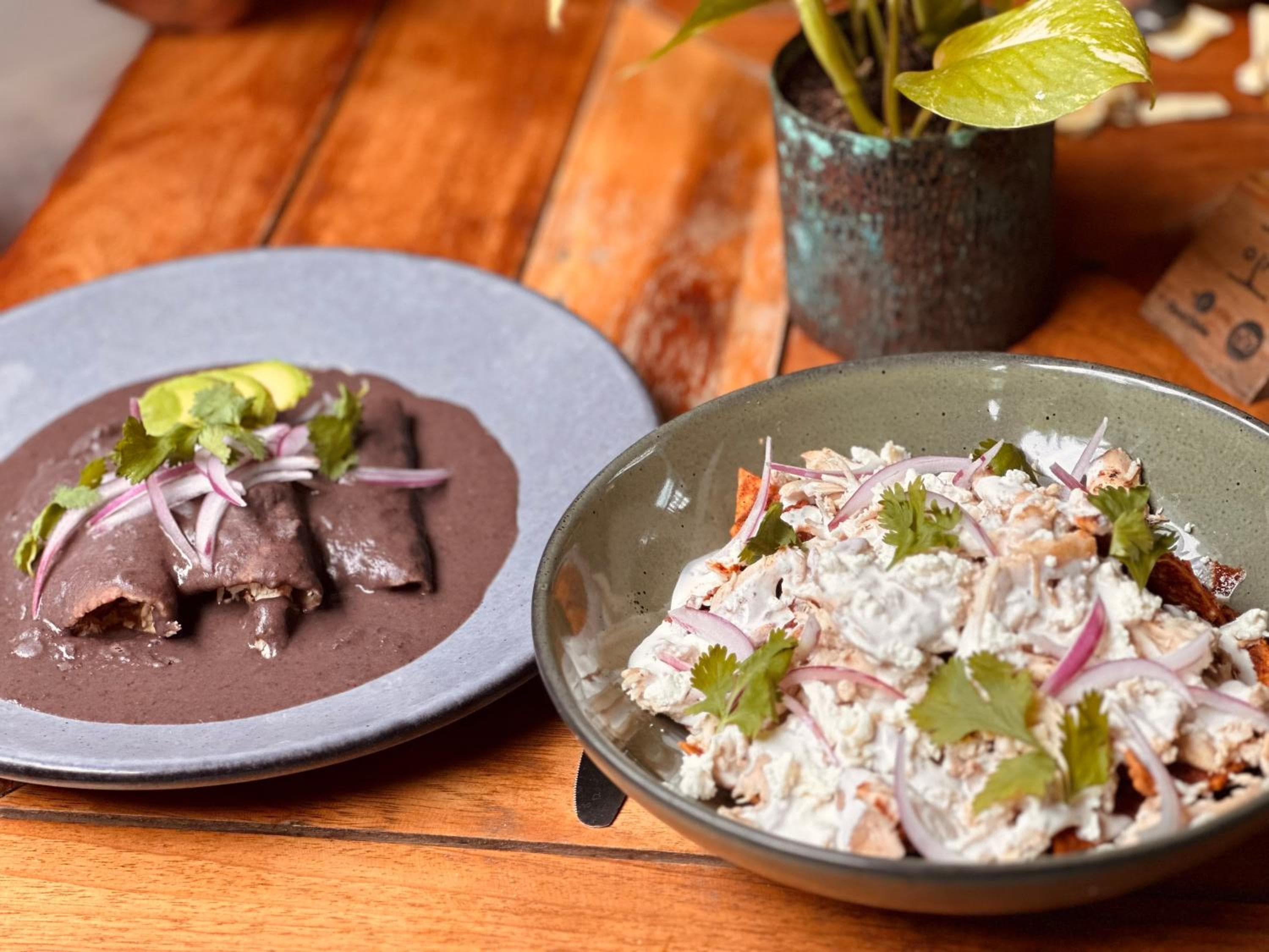 Alea Tulum — 16