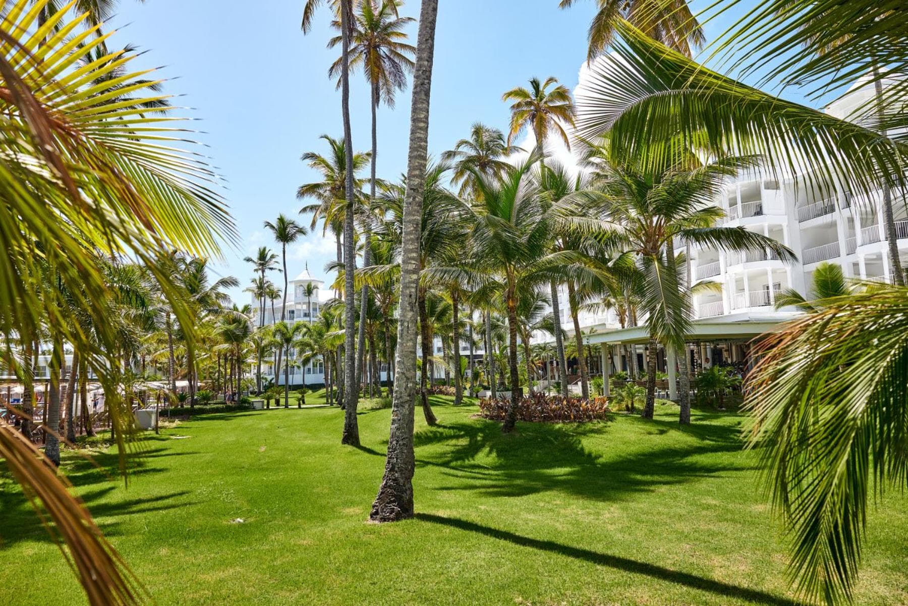 Riu Palace Macao - Sólo Adultos - Todo Incluido Elite Club — 16
