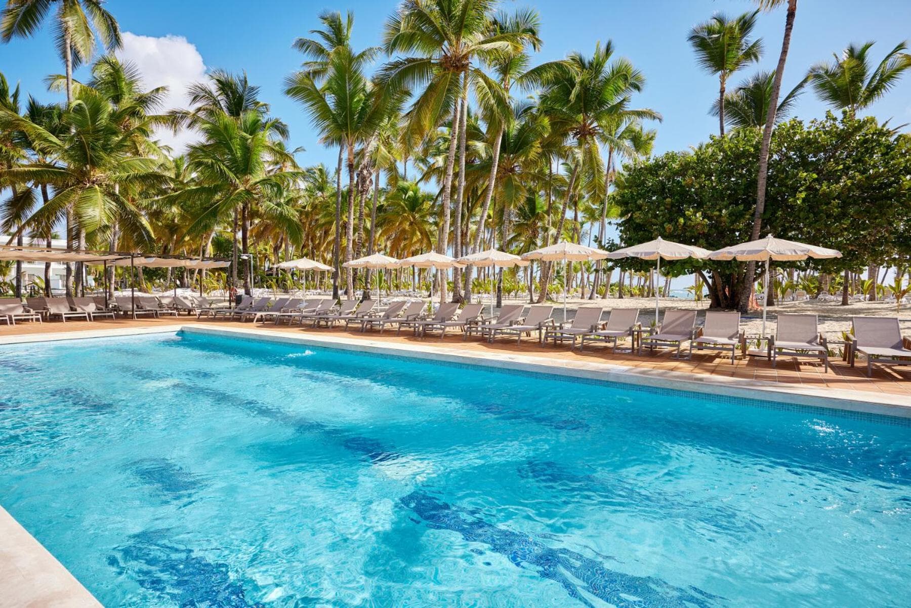 Riu Palace Macao - Sólo Adultos - Todo Incluido Elite Club — 4