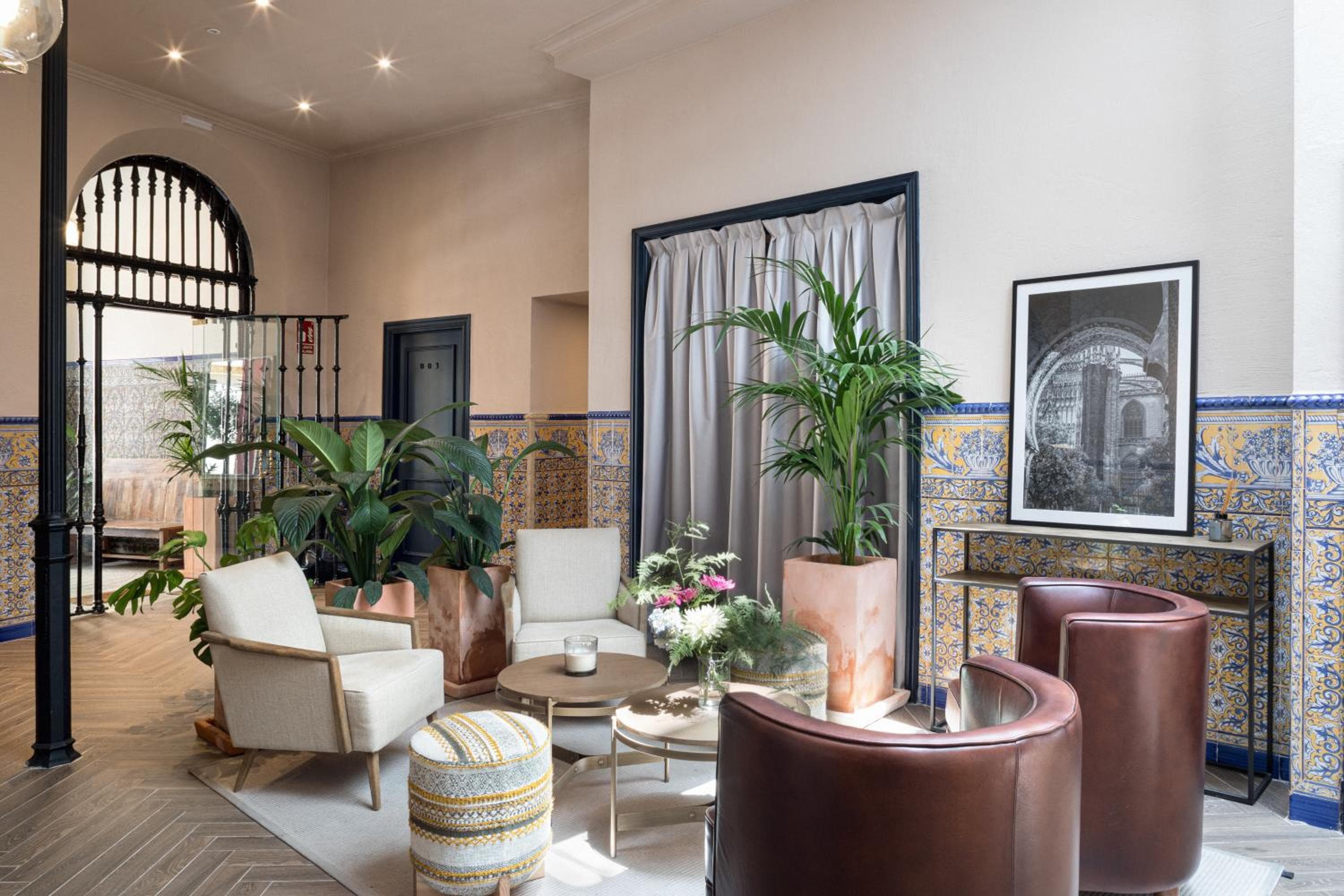 El Hotel Honesto San Pedro — 15