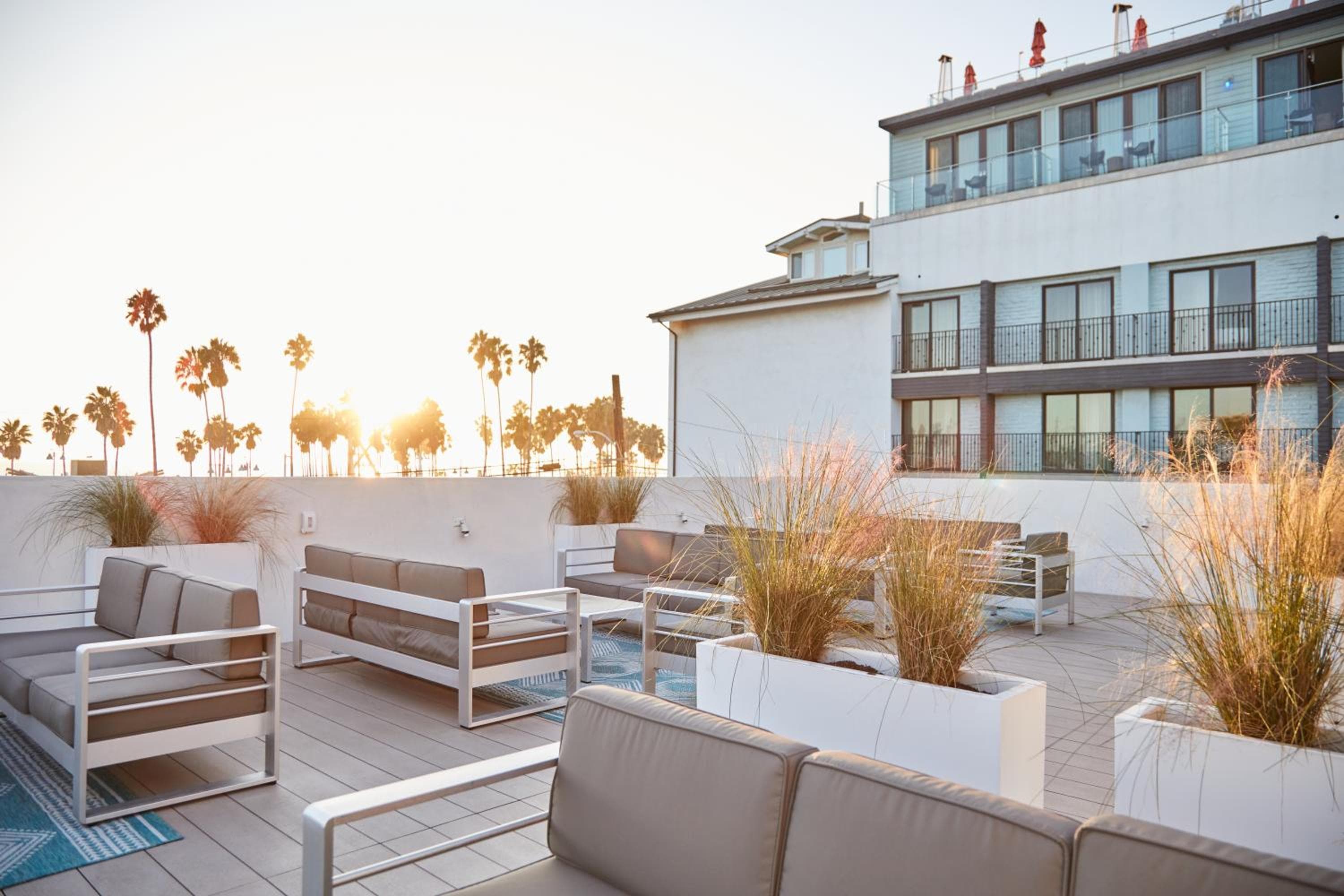 The Redline Venice — 1