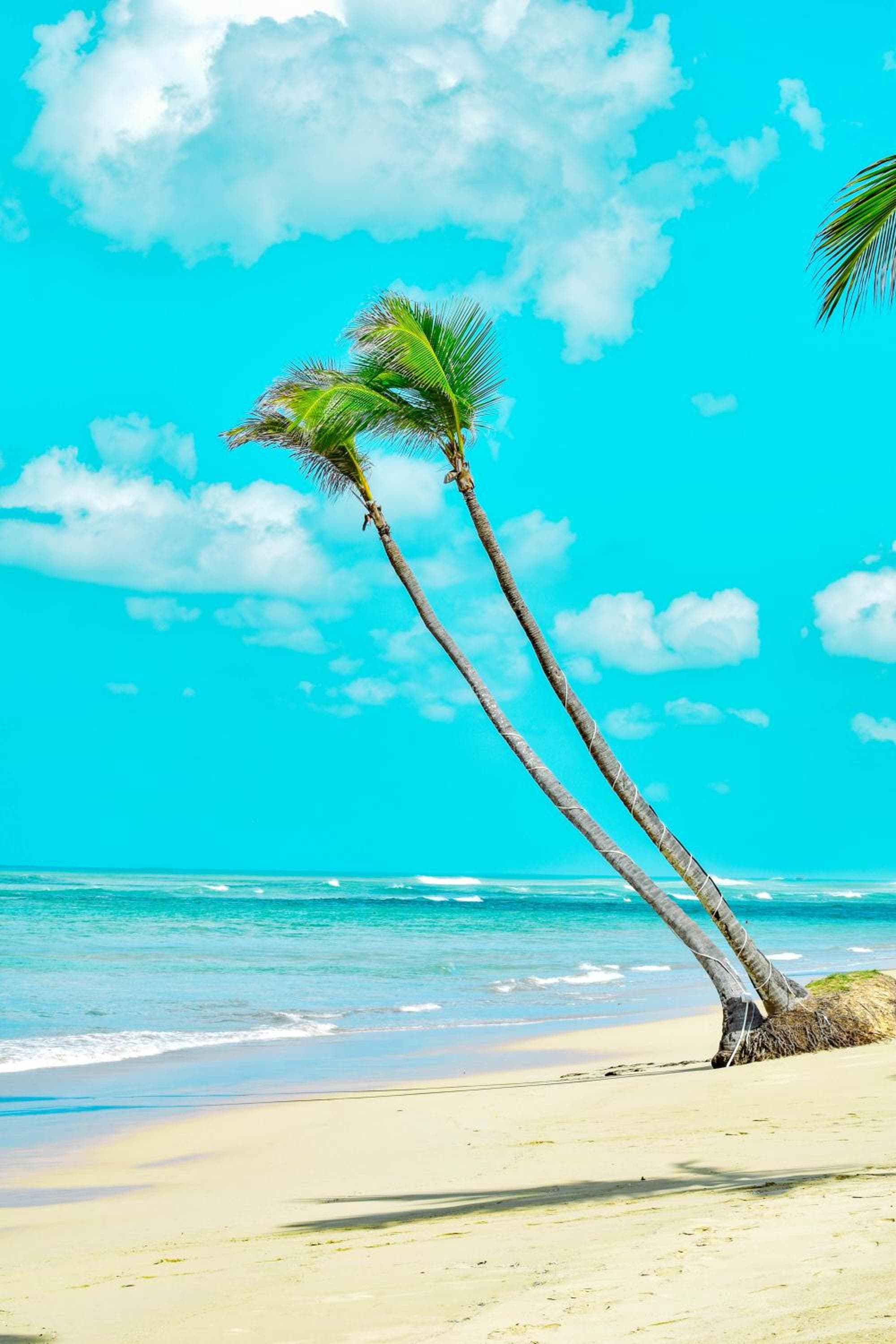 Playa Palmera Beach Resort — 21