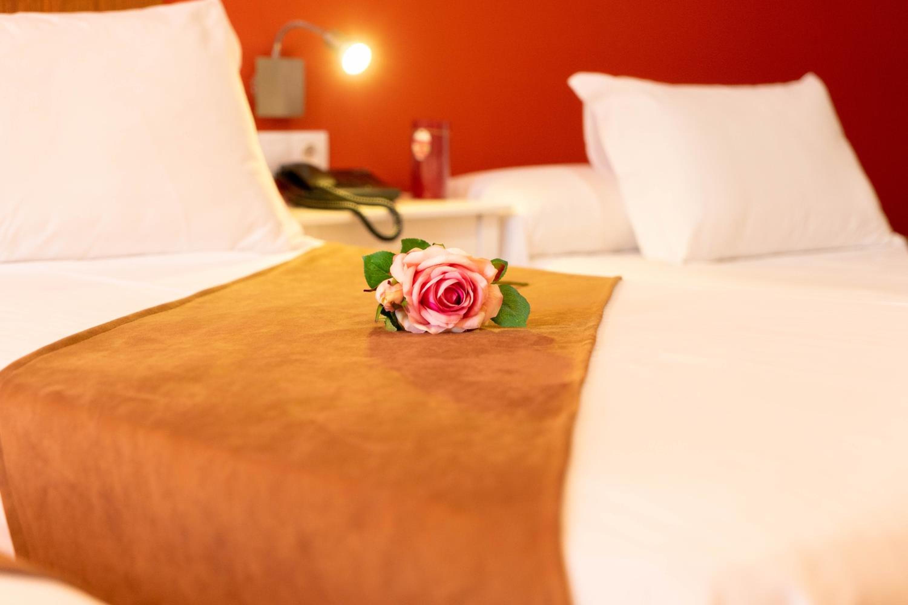 Gce Hoteles — 11