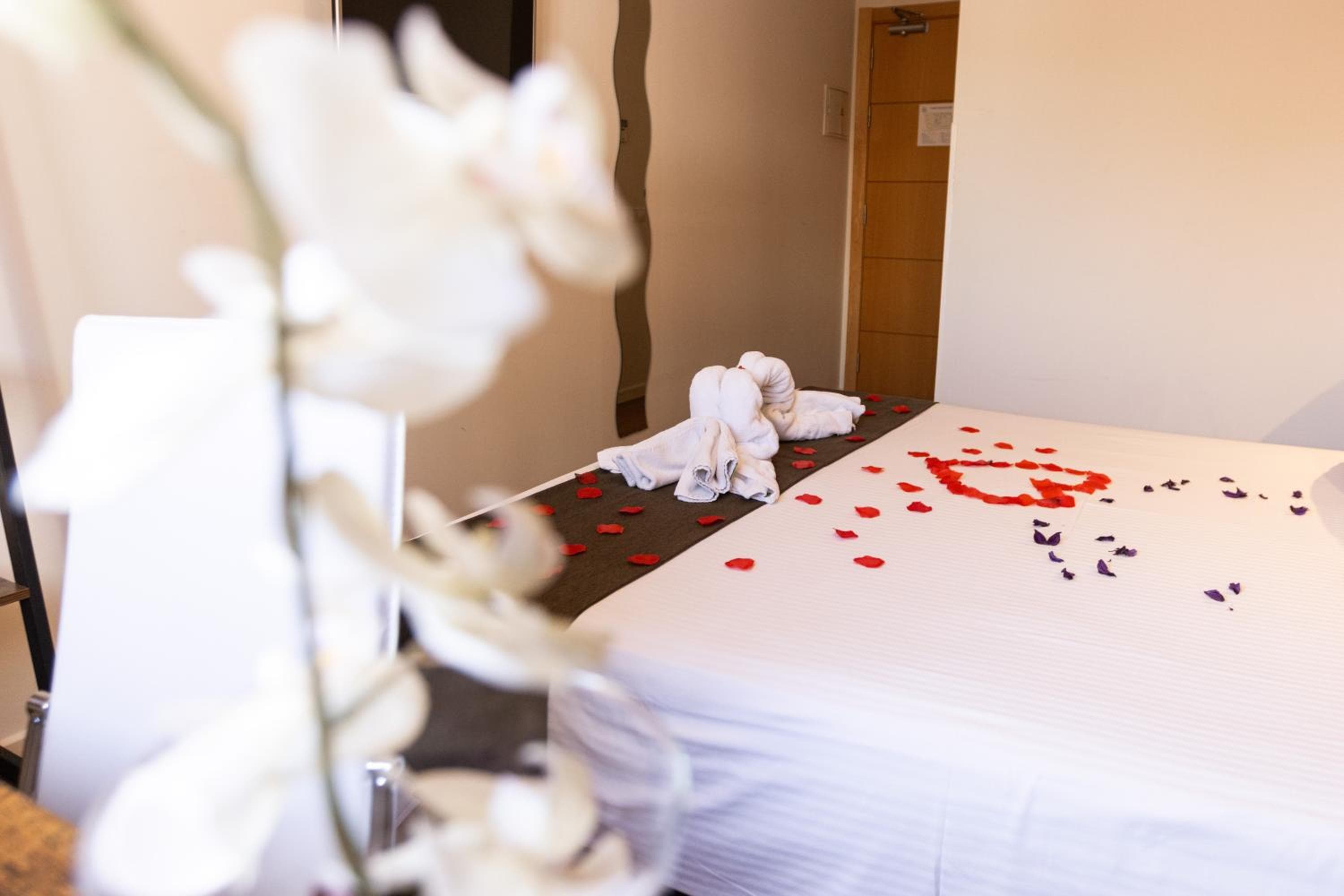 Gce Hoteles — 4