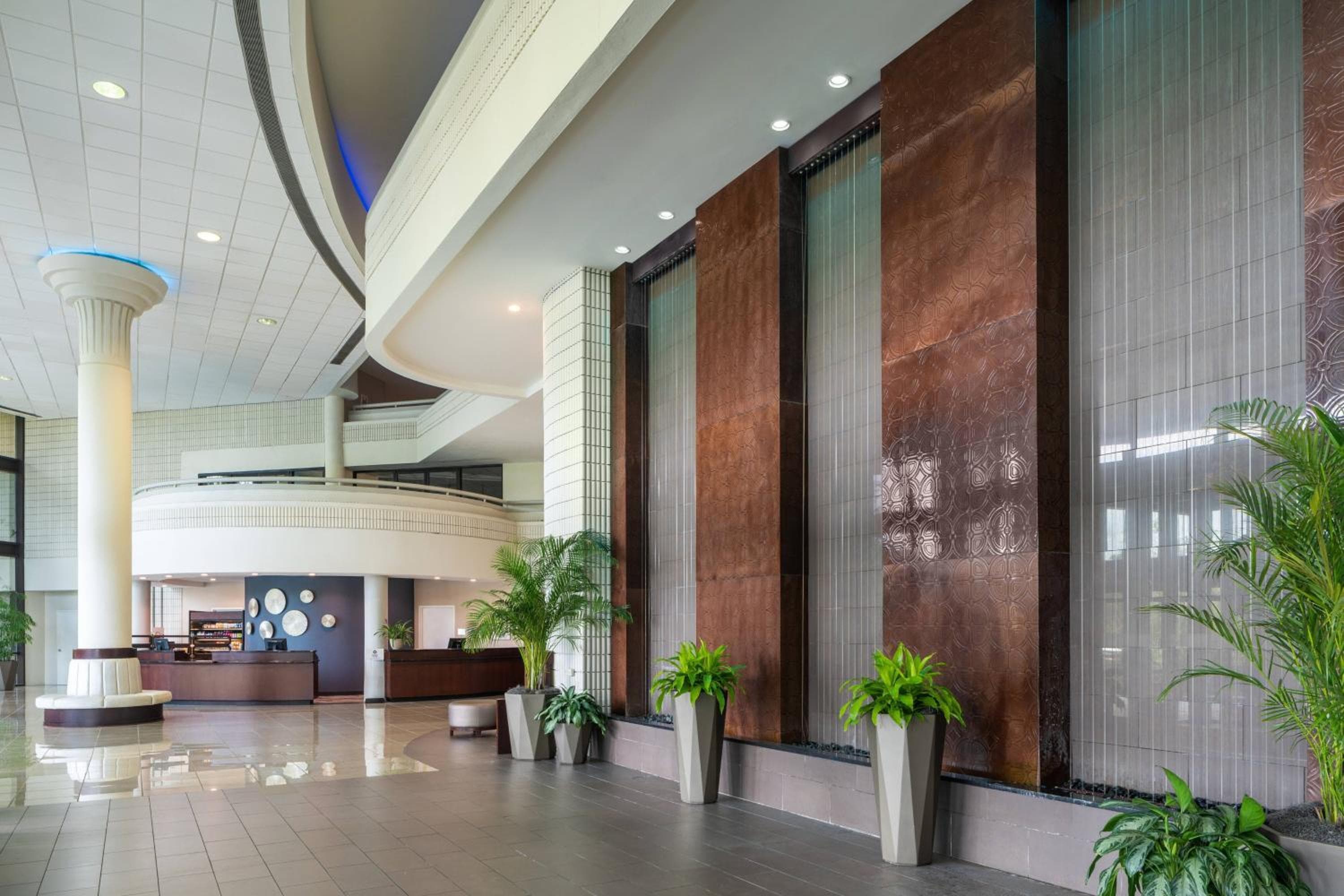Sheraton Tampa Brandon Hotel — 3