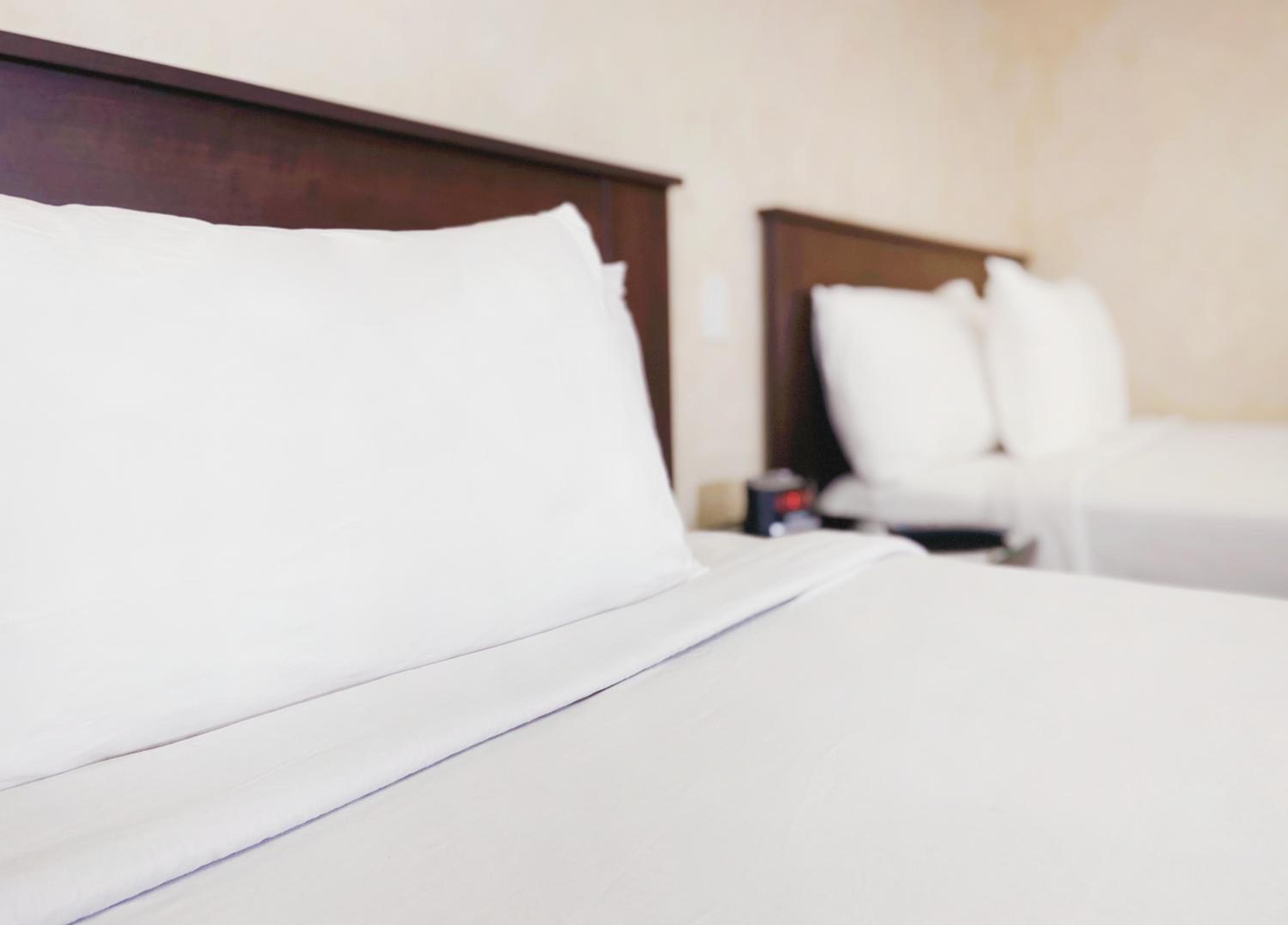 Nite Inn at Universal City - Walking Distance to Universal Studios Hollywood — 5