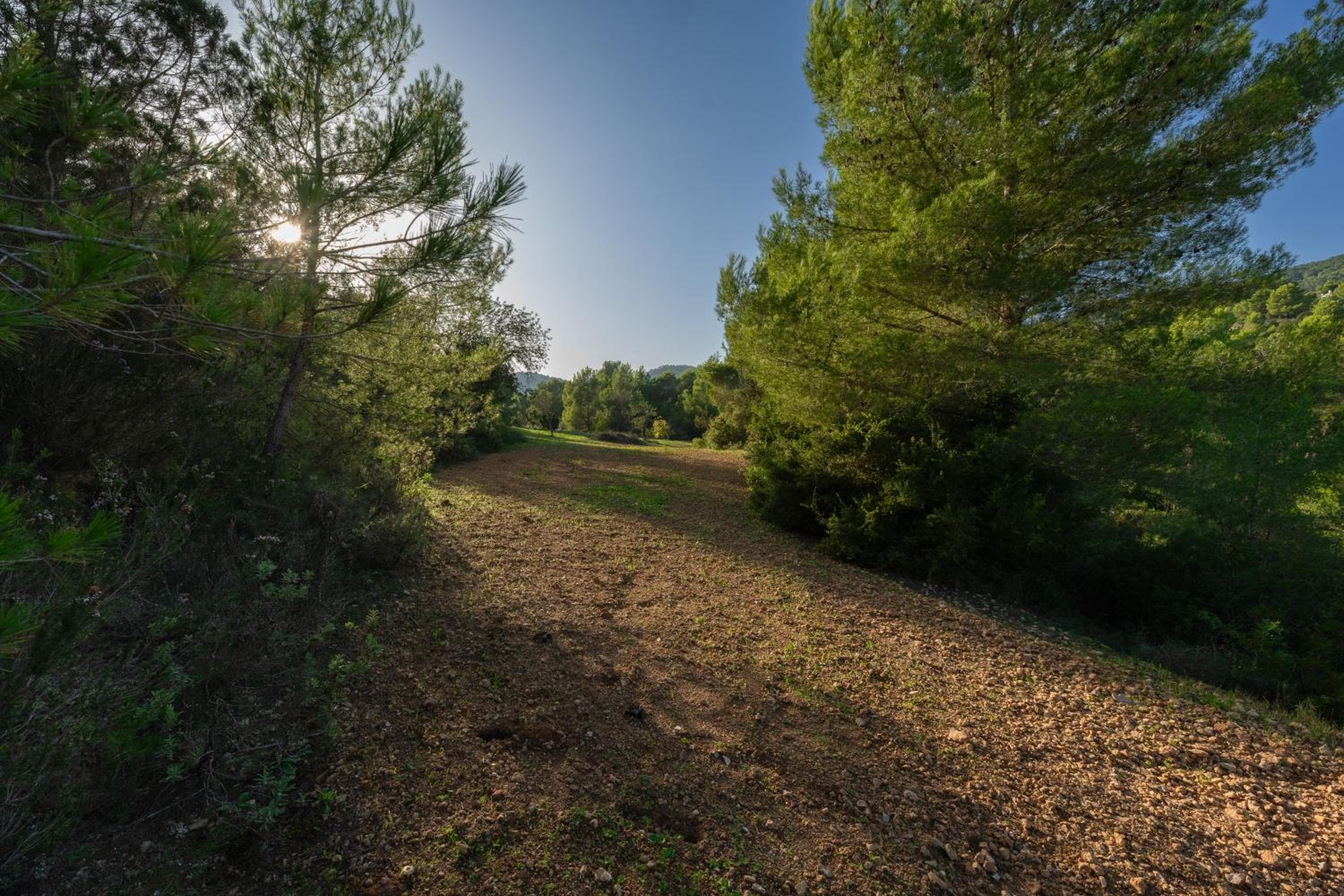VILLA GRANDE PARADISO — 27