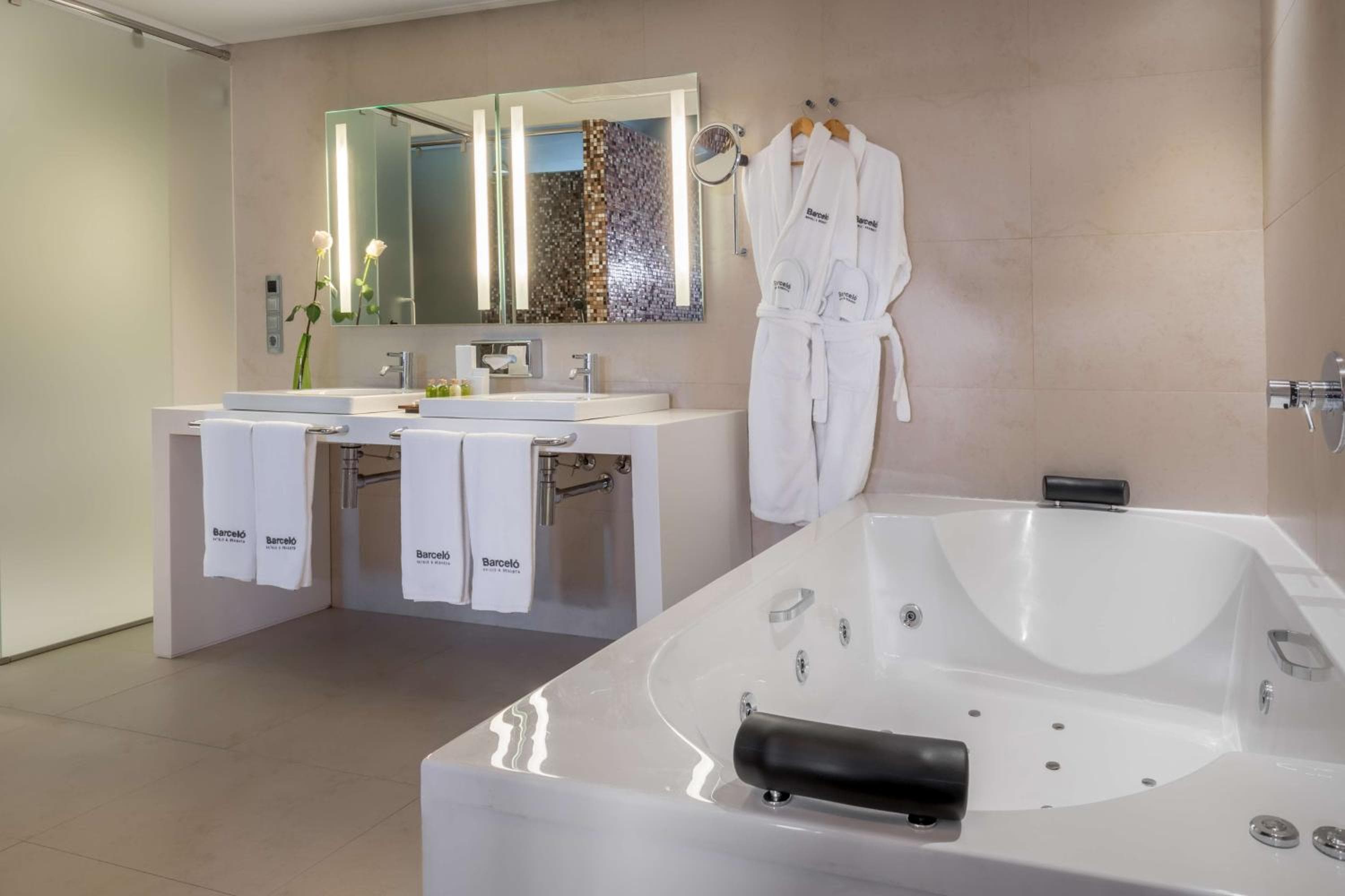 Barceló Malaga — 10