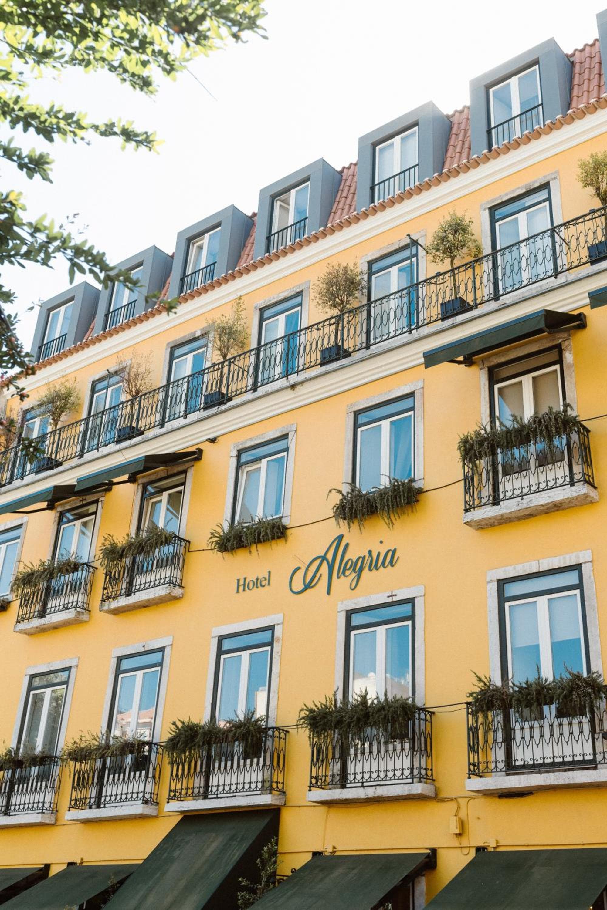 Alegria A Lisbona Boutique Hotel — 1