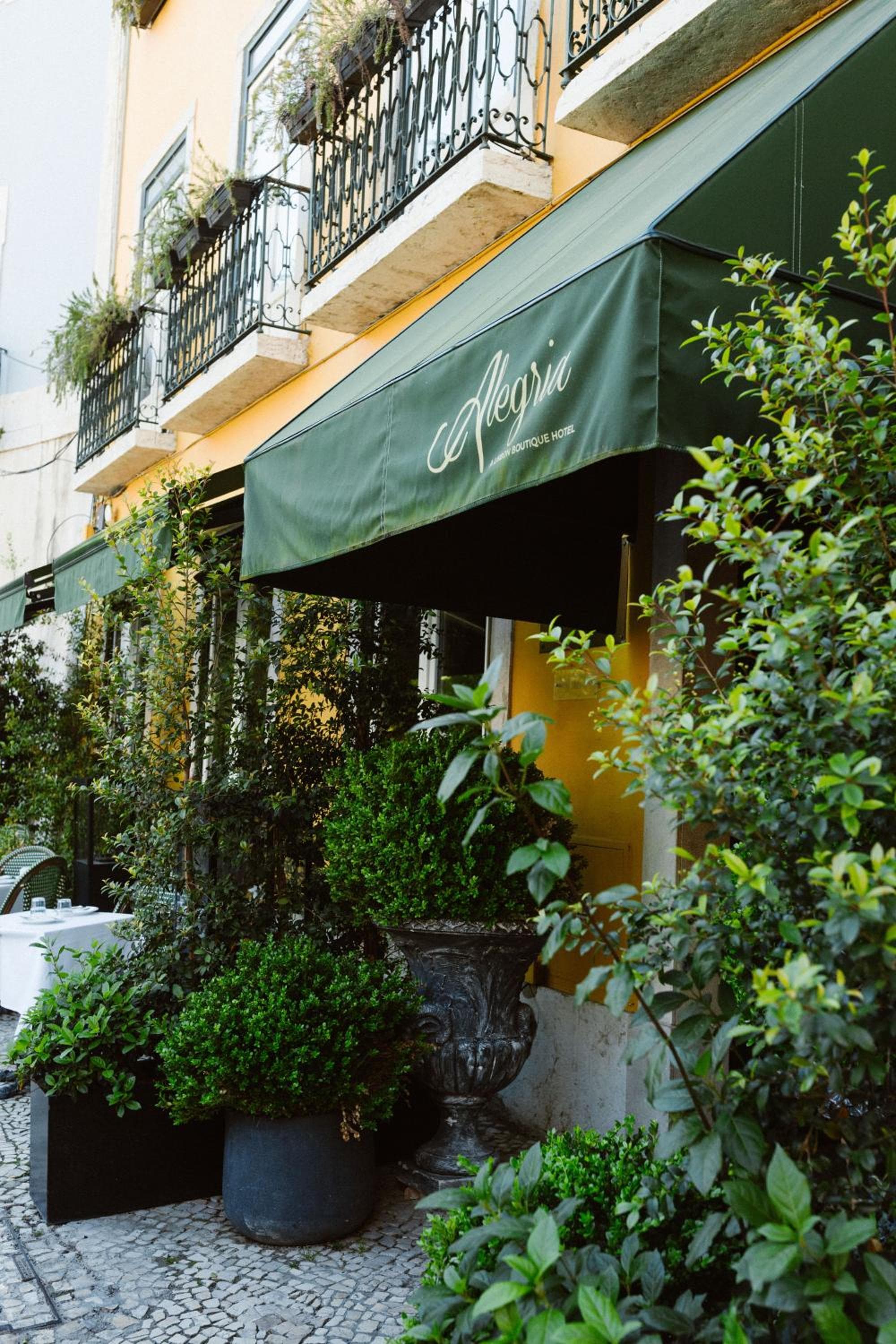 Alegria A Lisbona Boutique Hotel — 12