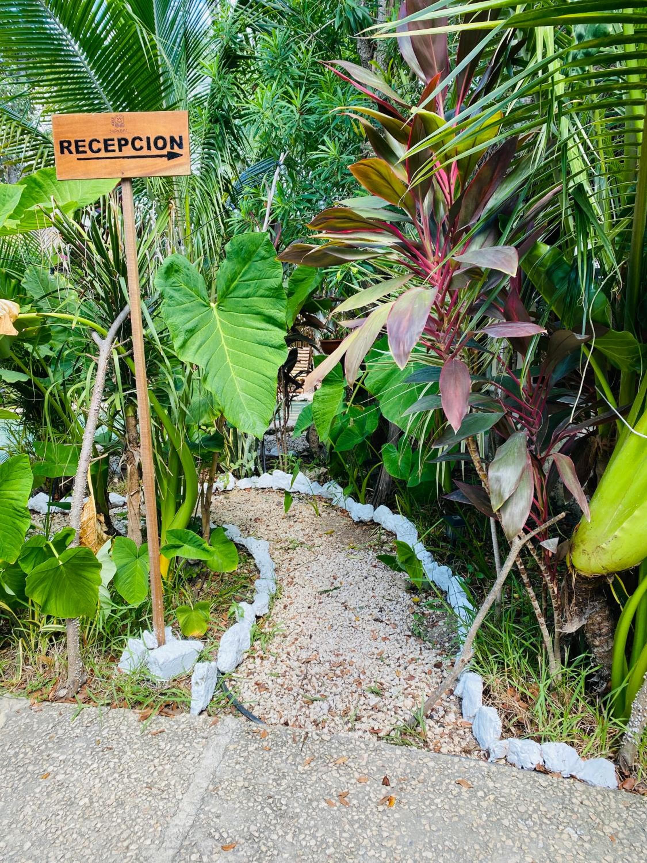 Jaakbal Tulum - Jaakbal Tulum — 3