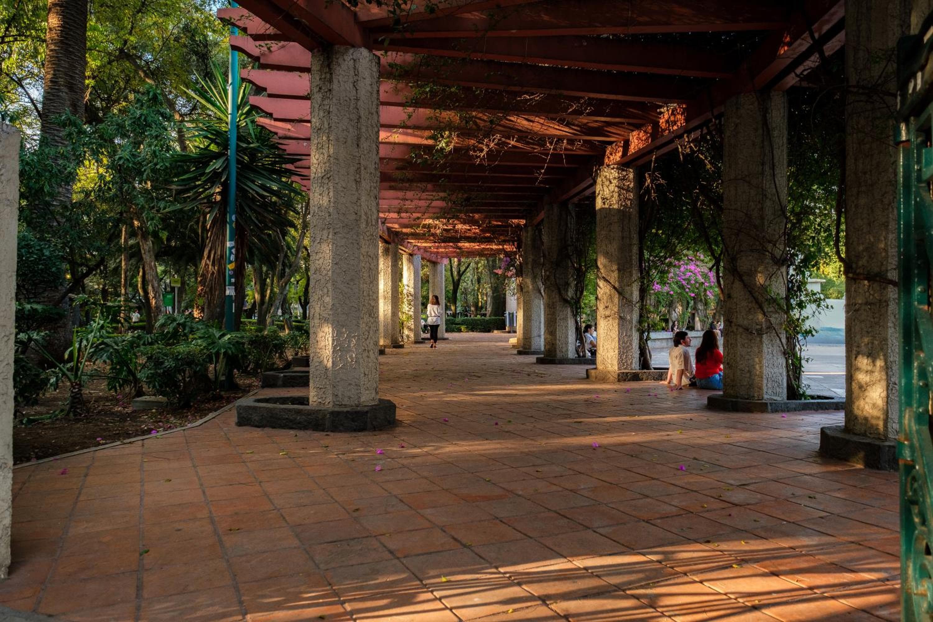 Nido Condesa — 11