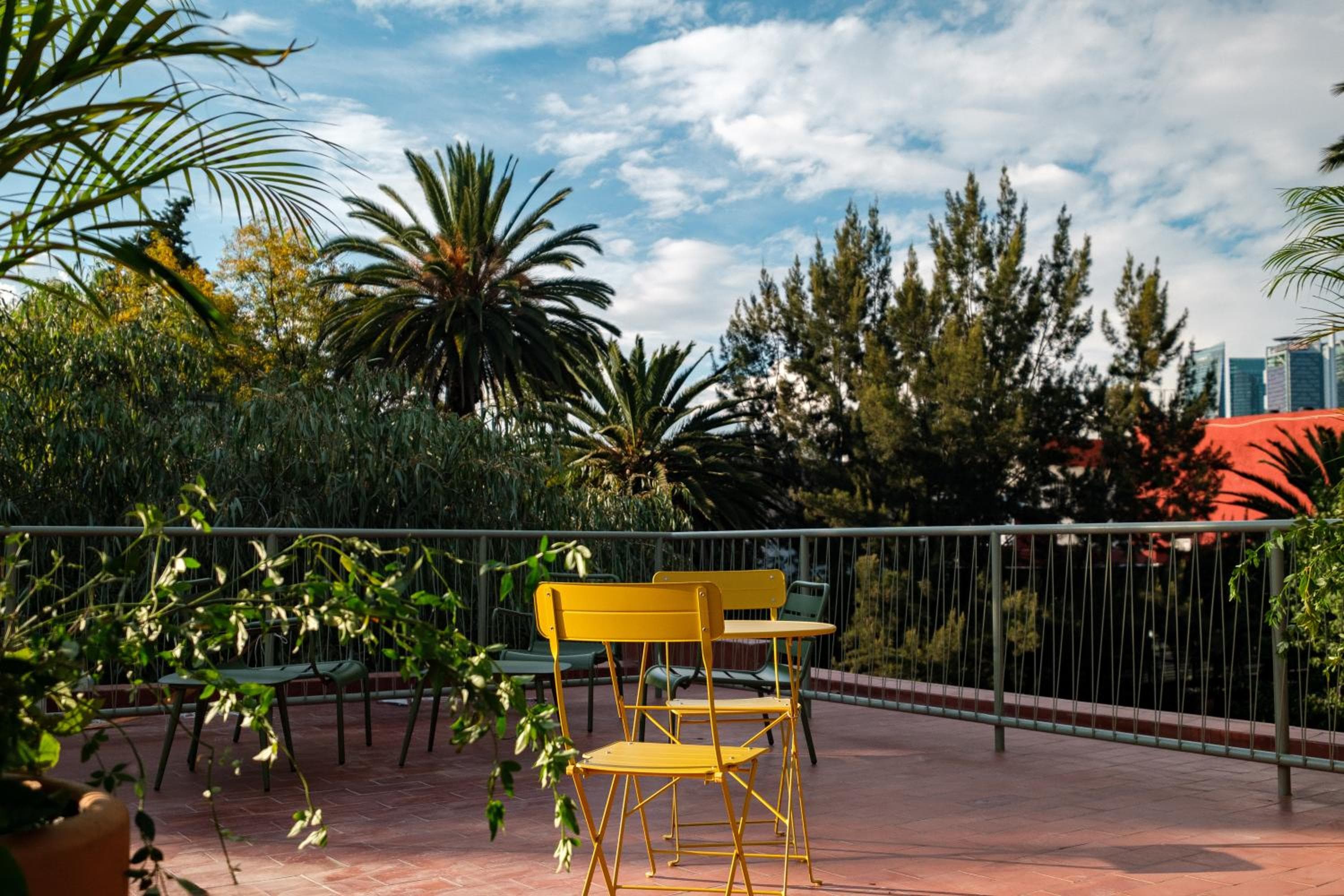 Nido Condesa — 20