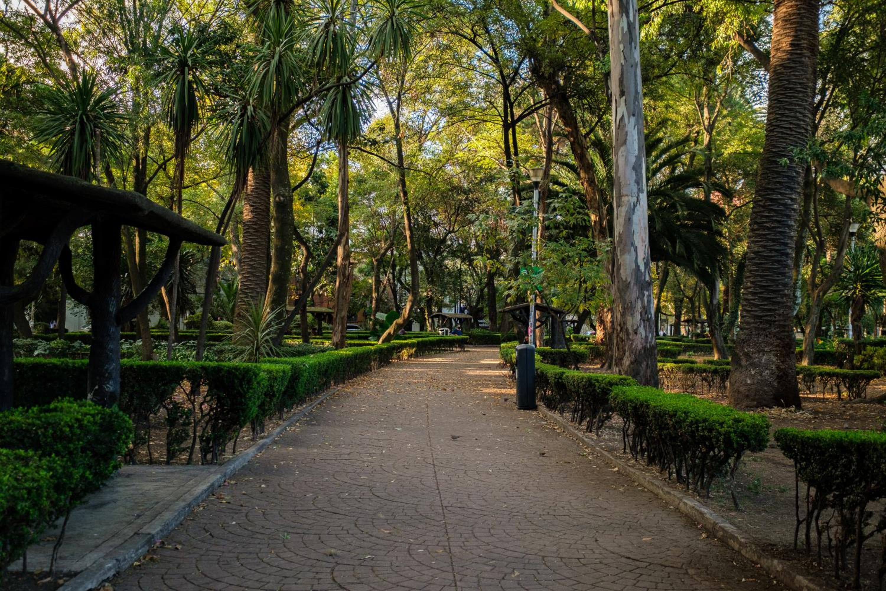 Nido Condesa — 23