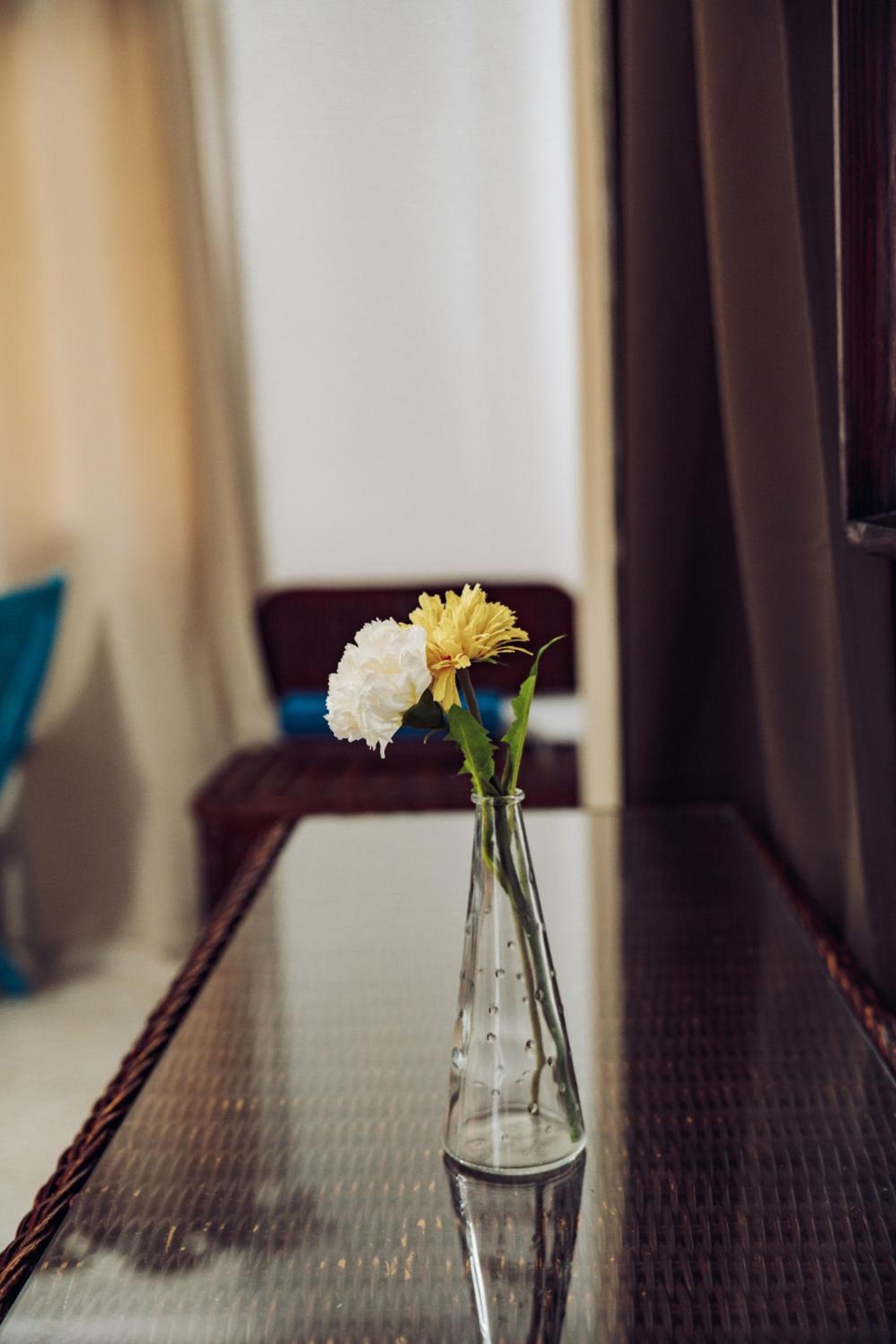Viaggiatori ecologici della Riviera Punta Cana — 7