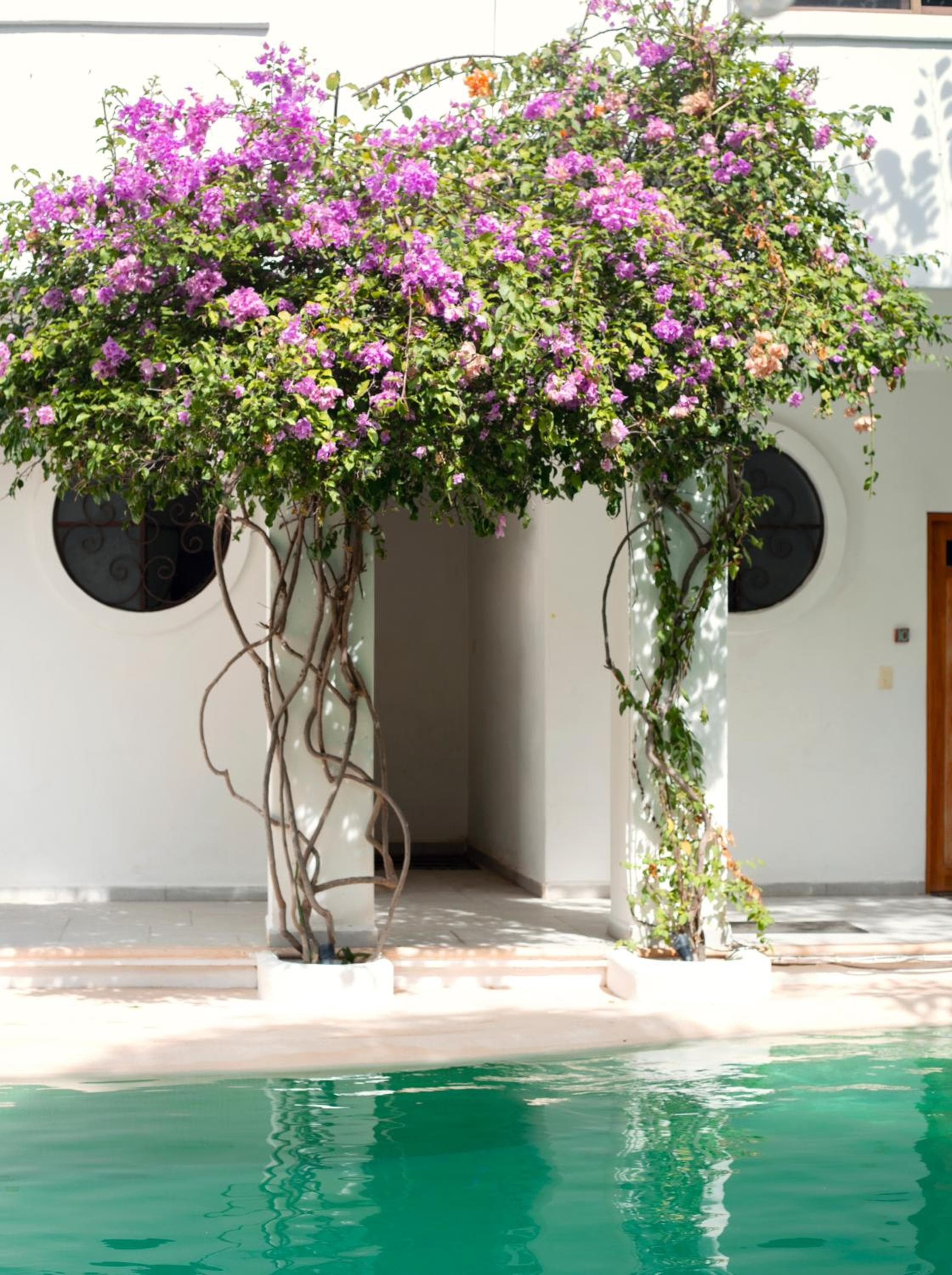 Il suono del mare Hotel Boutique & Yoga Loft — 7