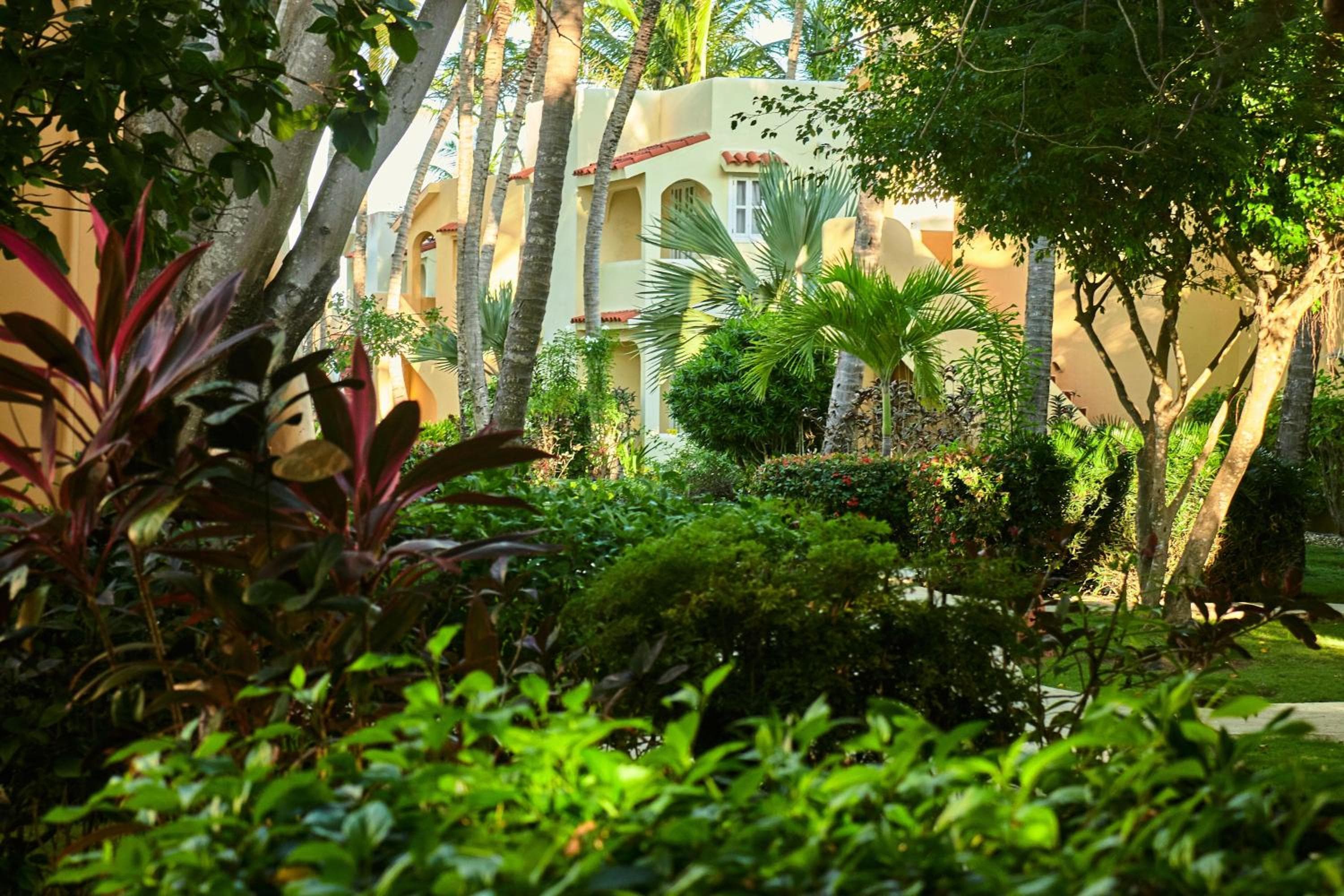 Los Corales Beach Village Punta Cana - L'originale — 9