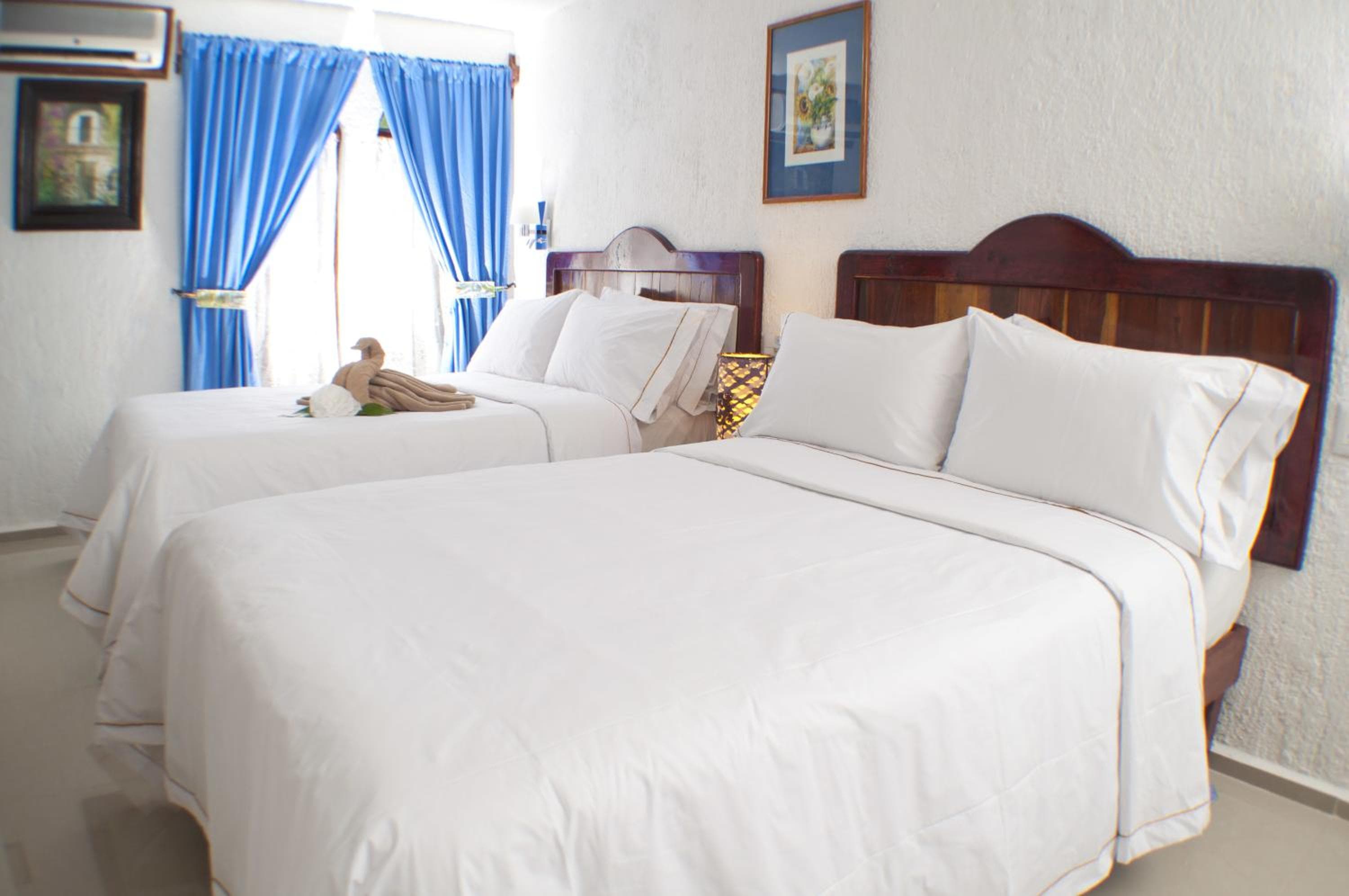 Eco-hotel El Rey del Caribe — 15