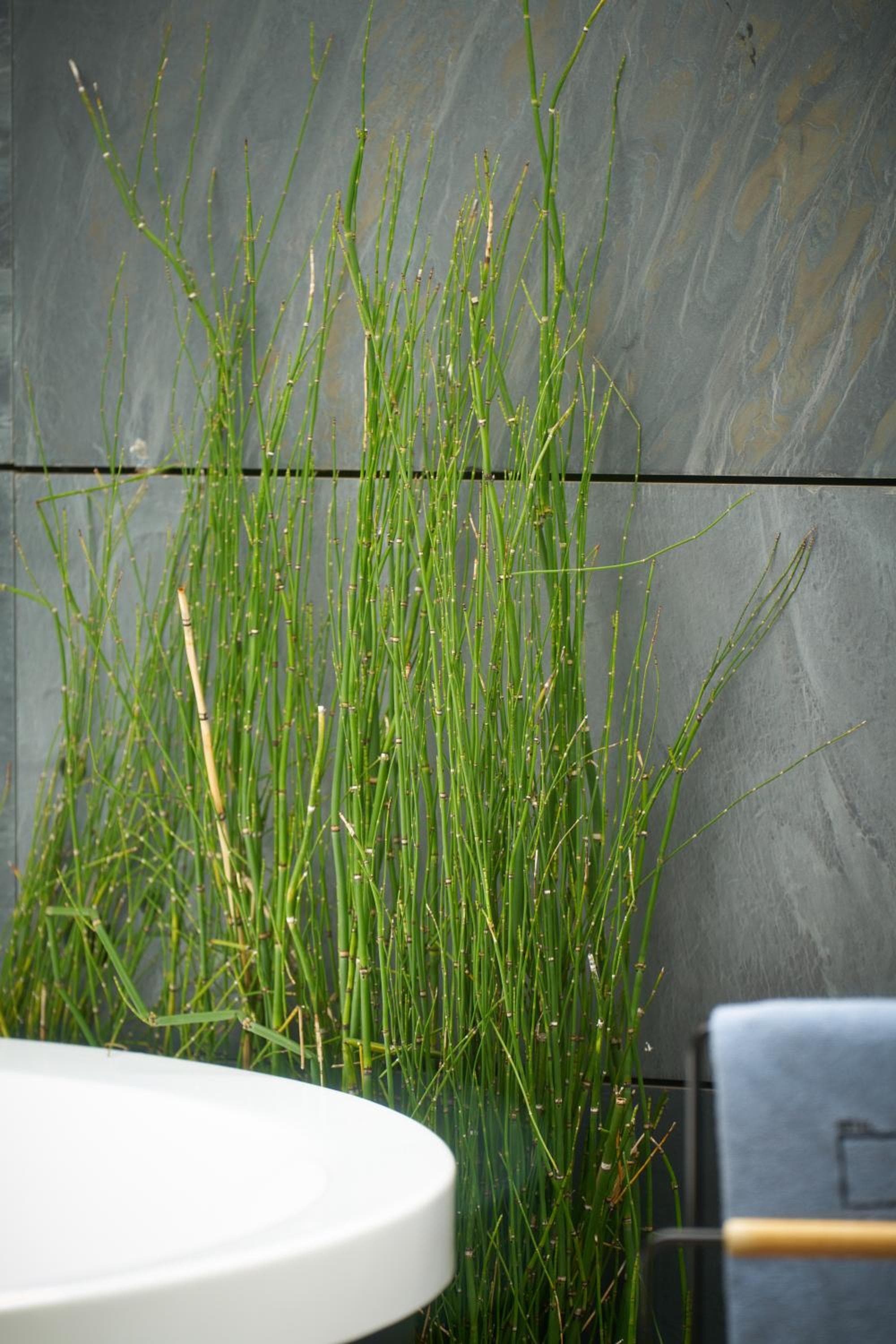 Hotel Regina hotel, Alcala, 19, Madrid, Spain — photo 73