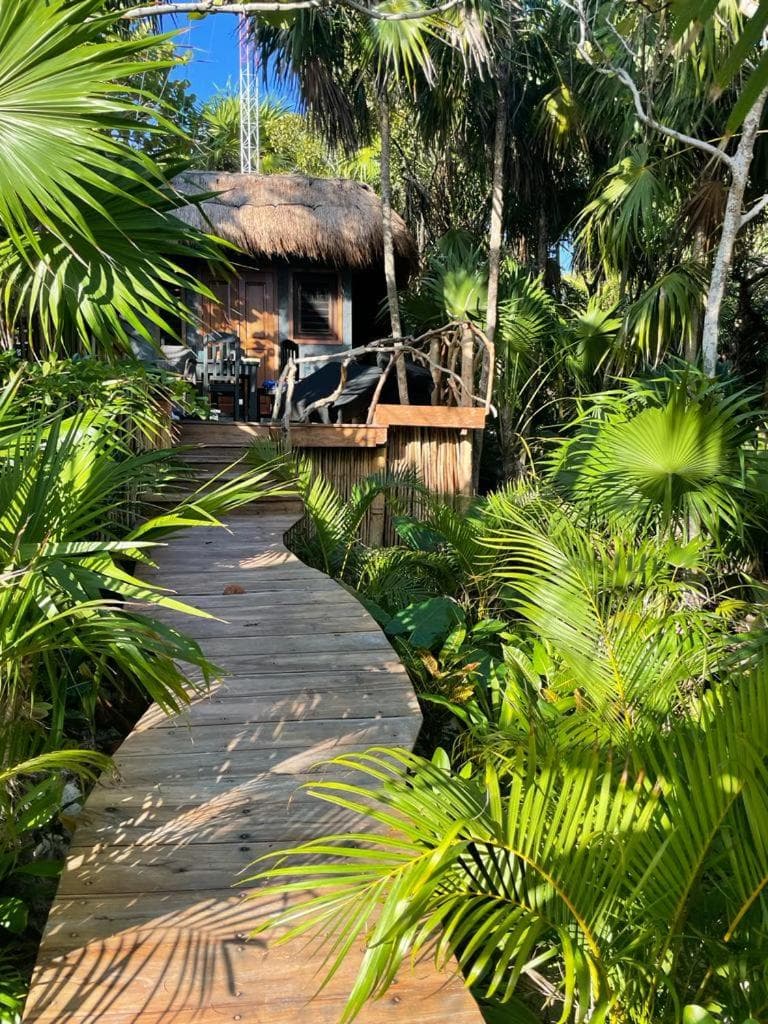 Casa Tolok sulla spiaggia di Tulum — 6