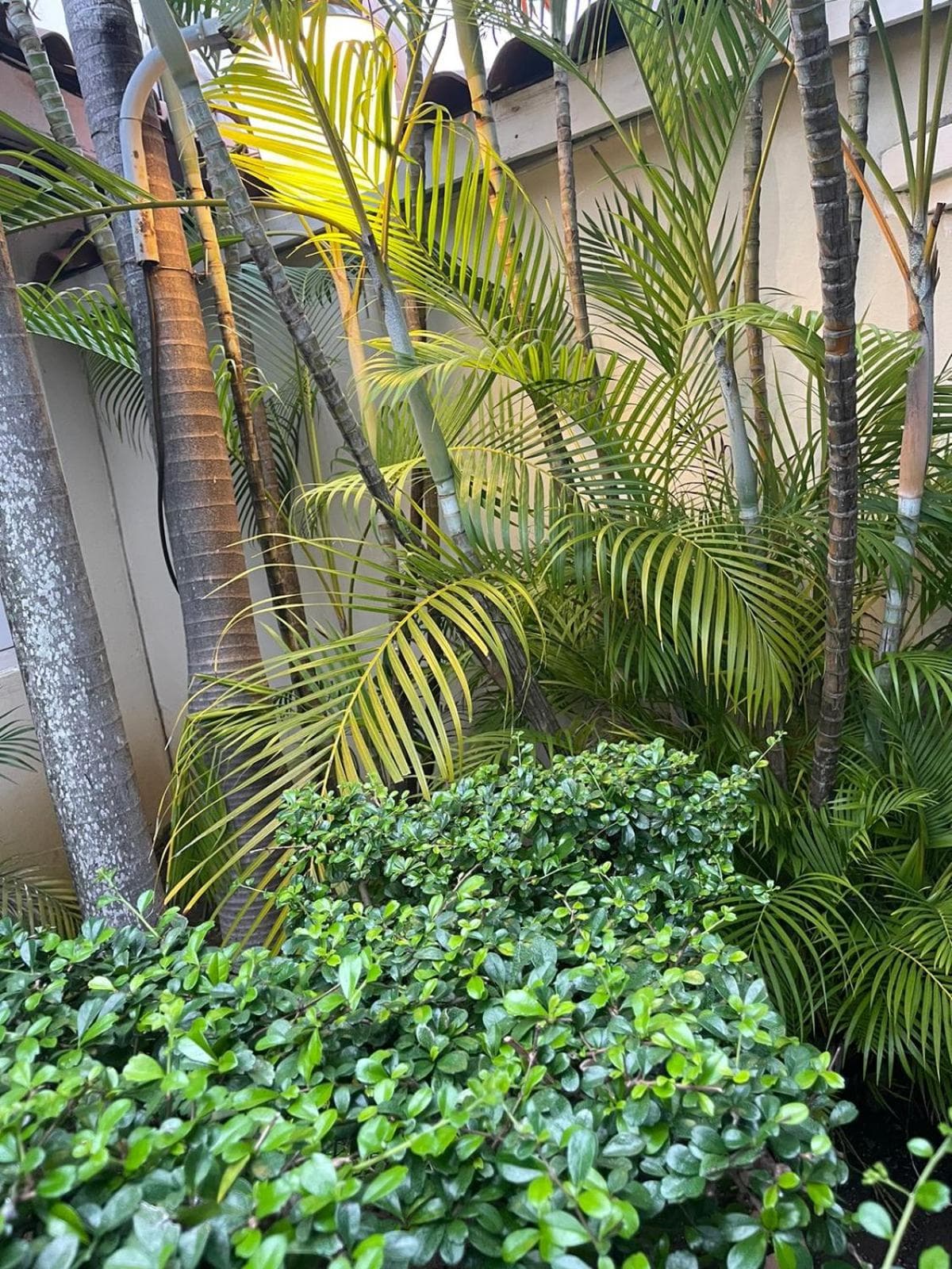 Hotel Plaza Brisas — 29