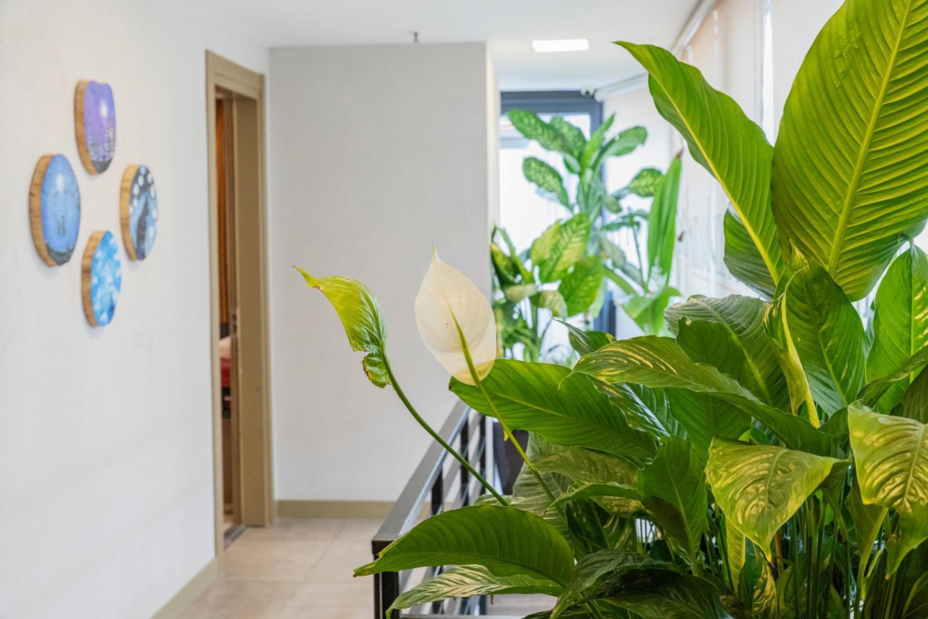 Ayramin Deluxe Hotel Taksim — 26