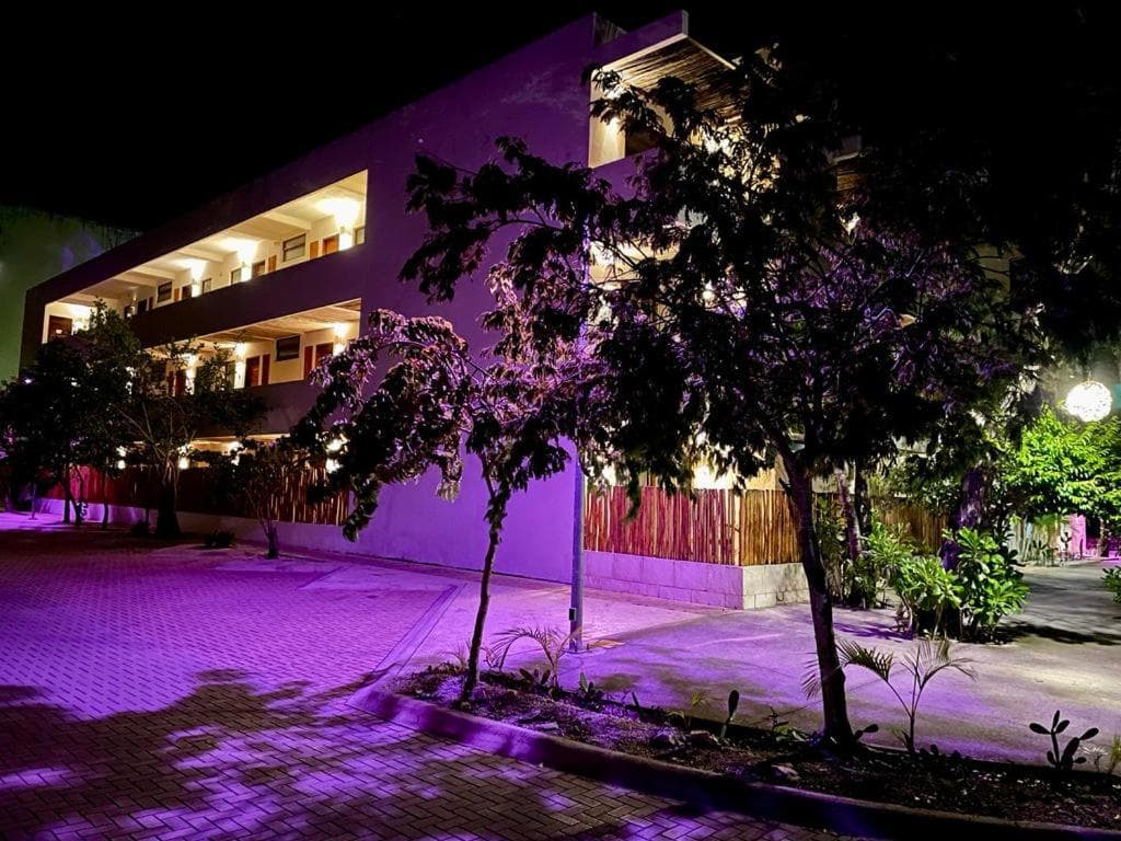 Niik Tulum — 2