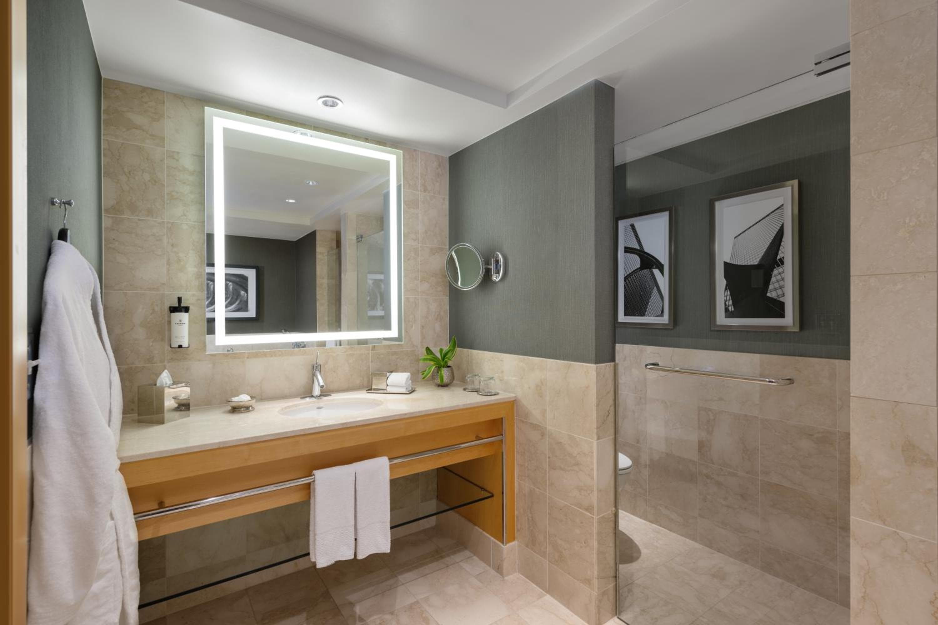 Sofitel Chicago Magnificent Mile hotel, 20 East Chestnut Street, Chicago, United States — photo 97