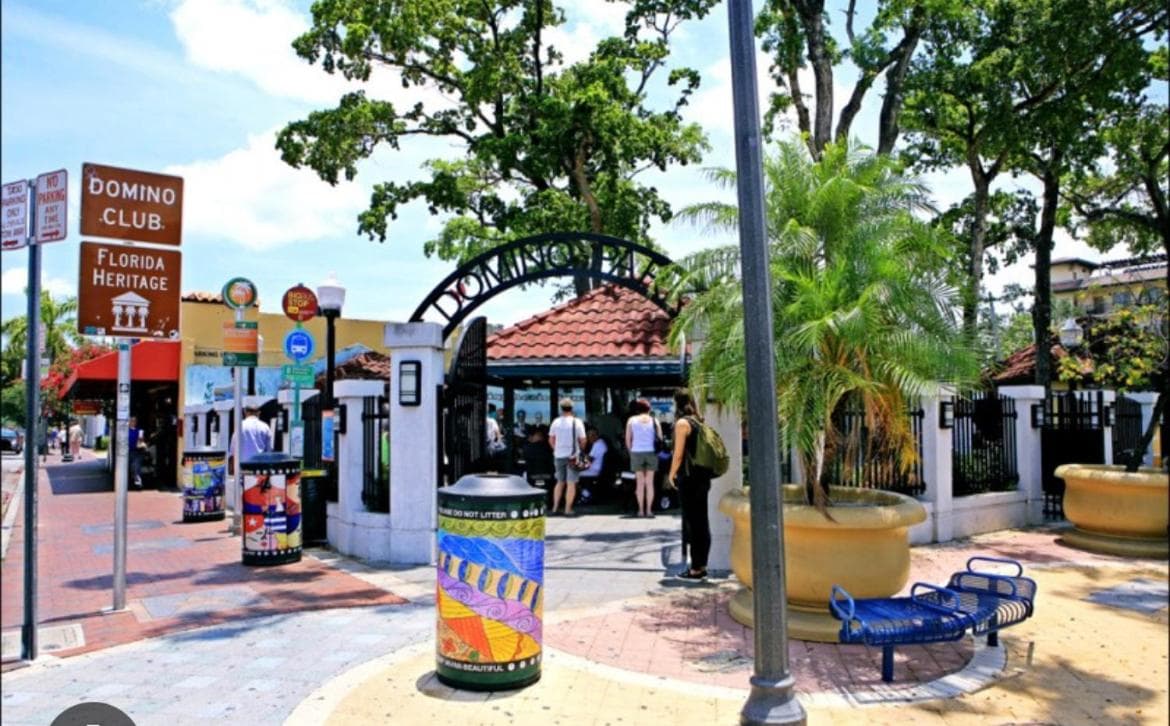 Blue Little Havana — 21