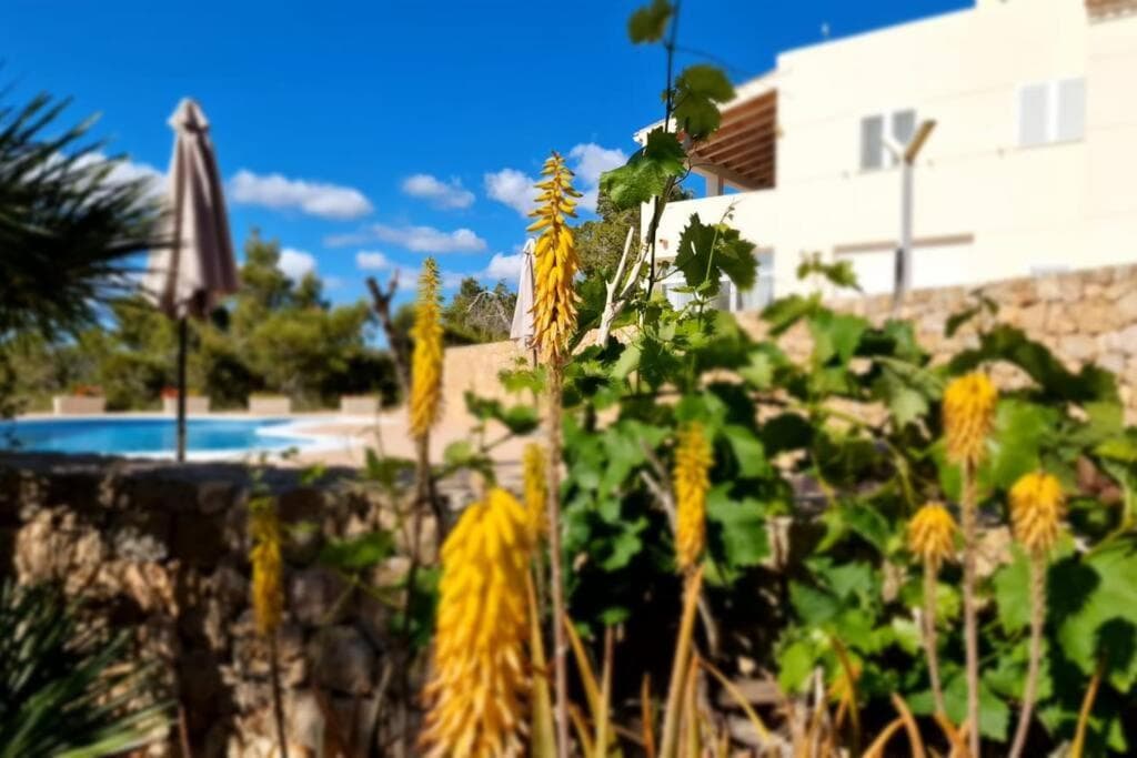 beautiful views with pool in ibiza — 26