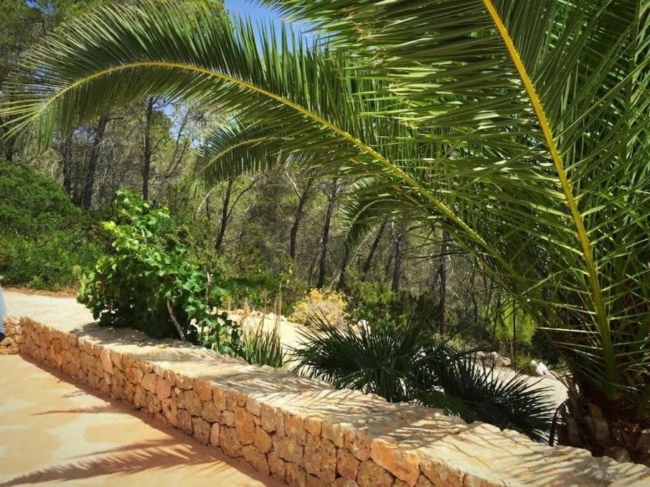 beautiful views with pool in ibiza — 30