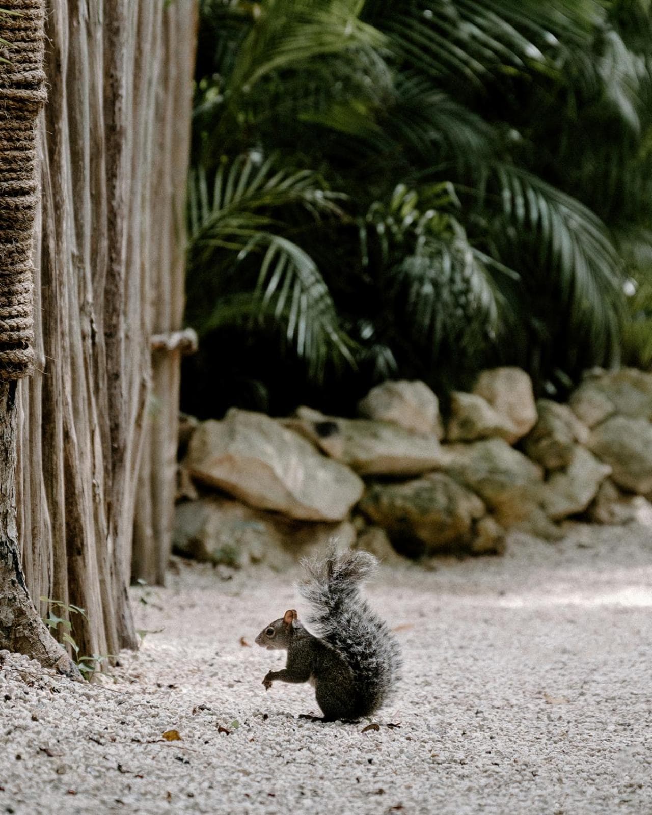 Hotel Bardo - Adults Only hotel, Av La Selva entre Kohunlich Xcaret Y, Tulum, Mexico — photo 62