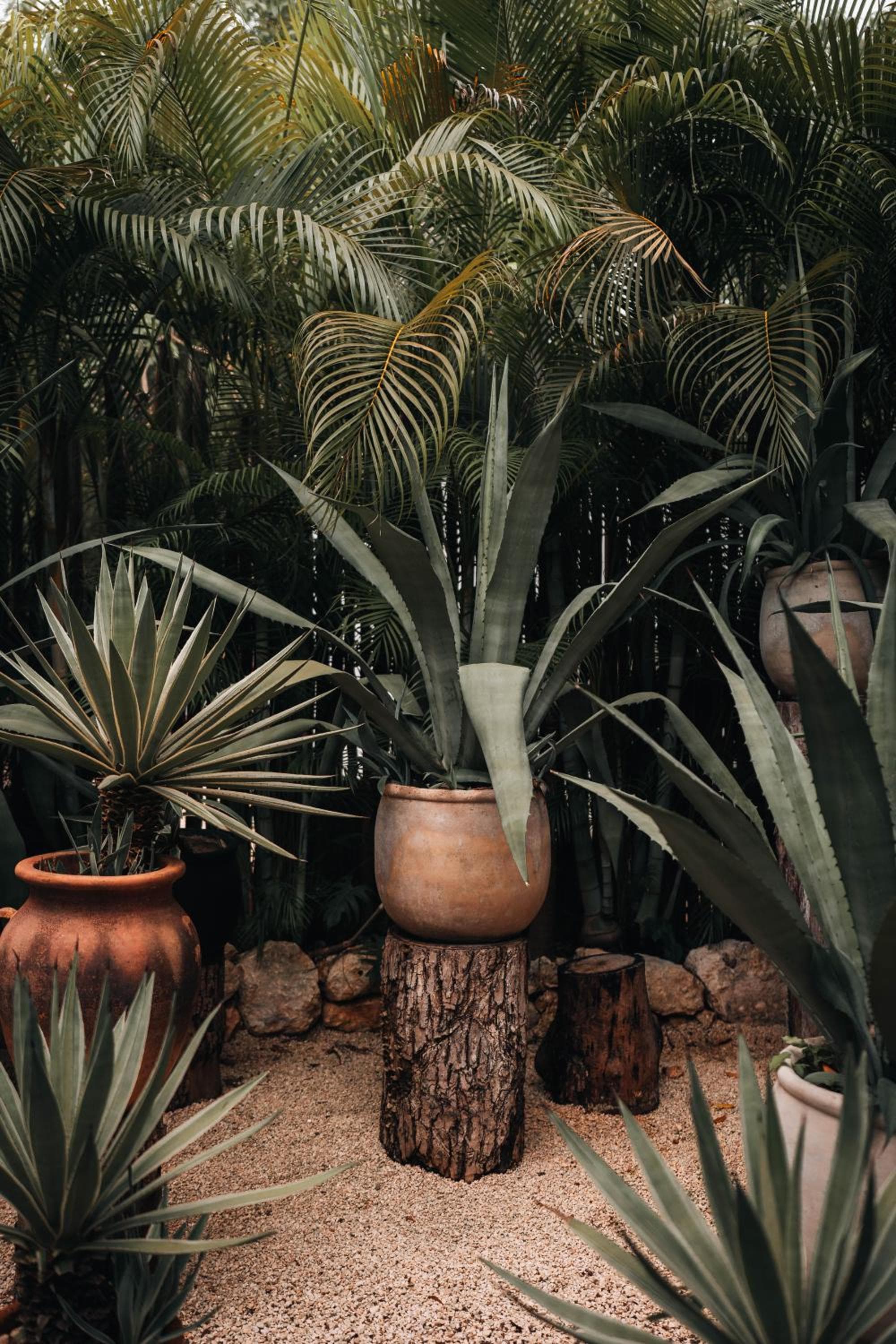 Hotel Bardo - Adults Only hotel, Av La Selva entre Kohunlich Xcaret Y, Tulum, Mexico — photo 59