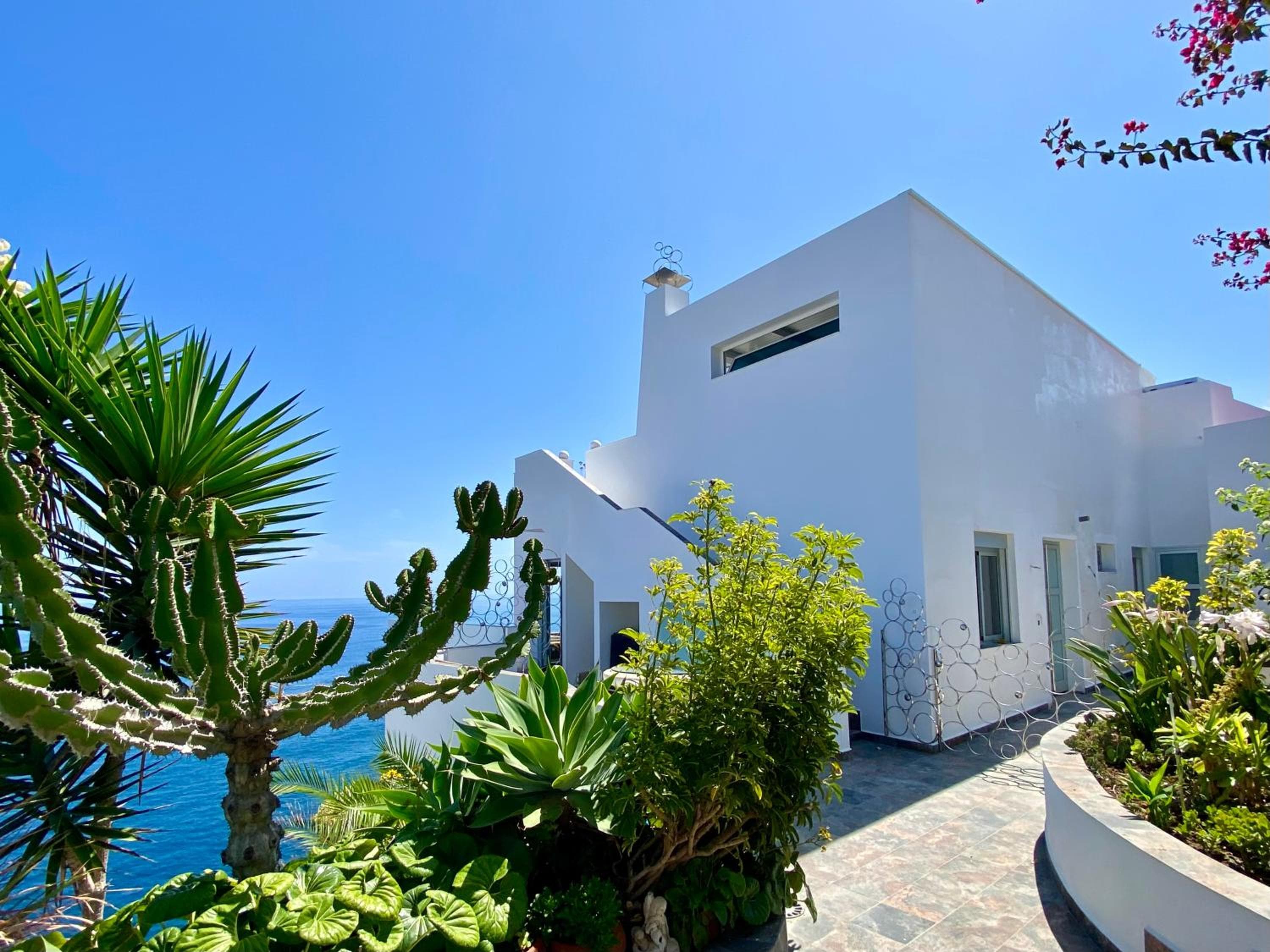 Villa Oasis La Paz - Acaymo Loft - ADULTS ONLY - — 1