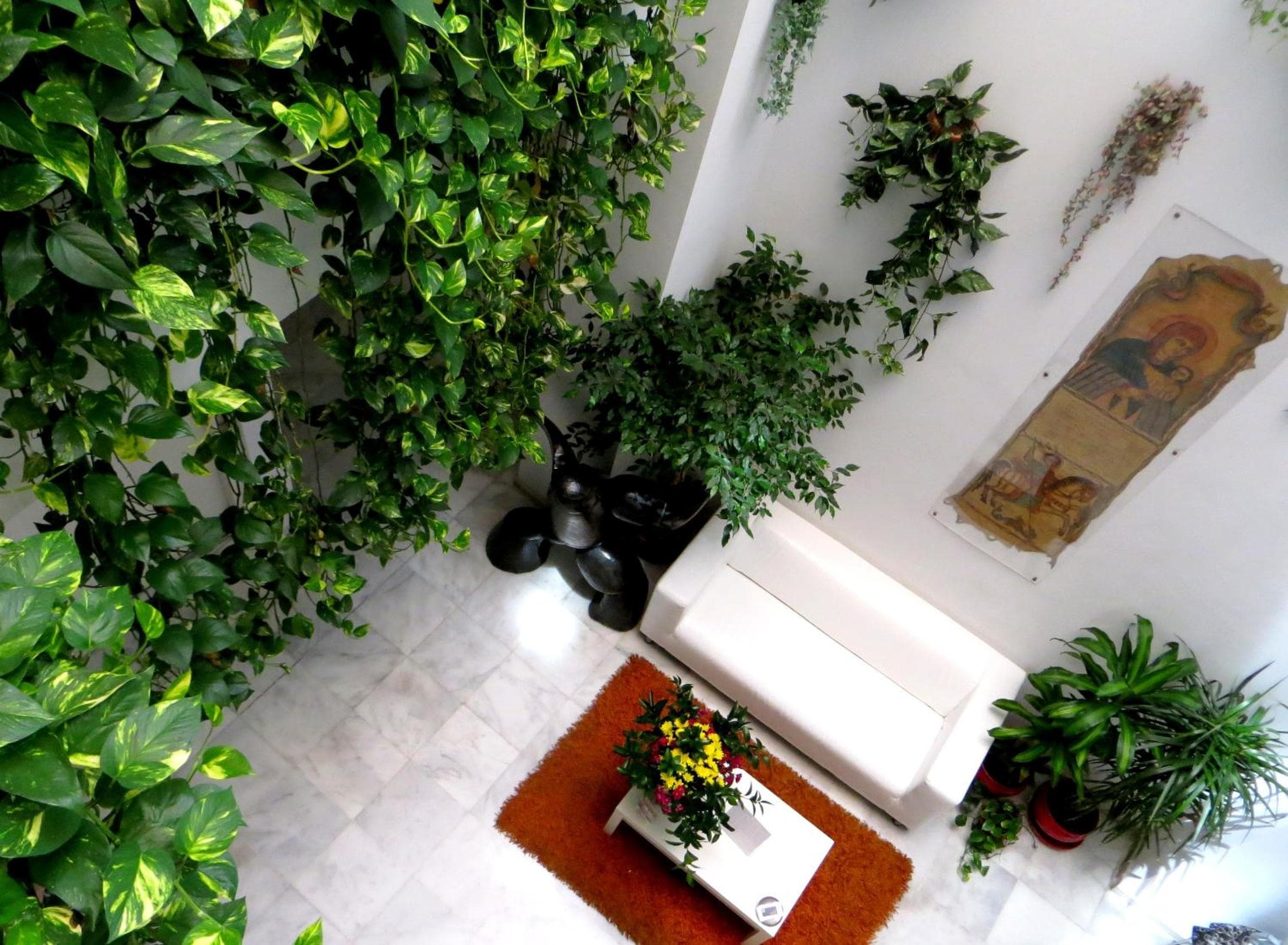Un Patio al Sur — 5