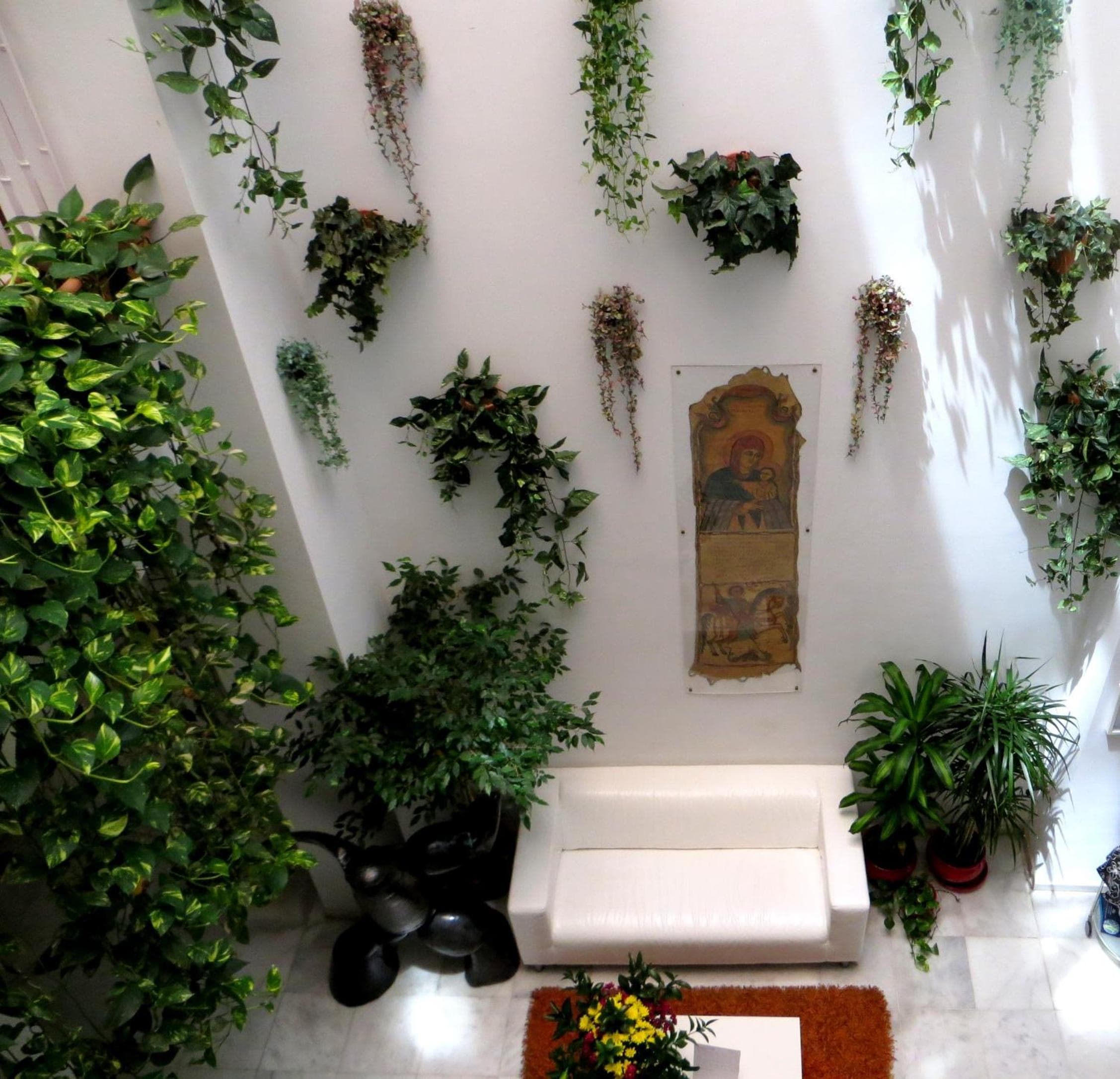 Un Patio al Sur — 8