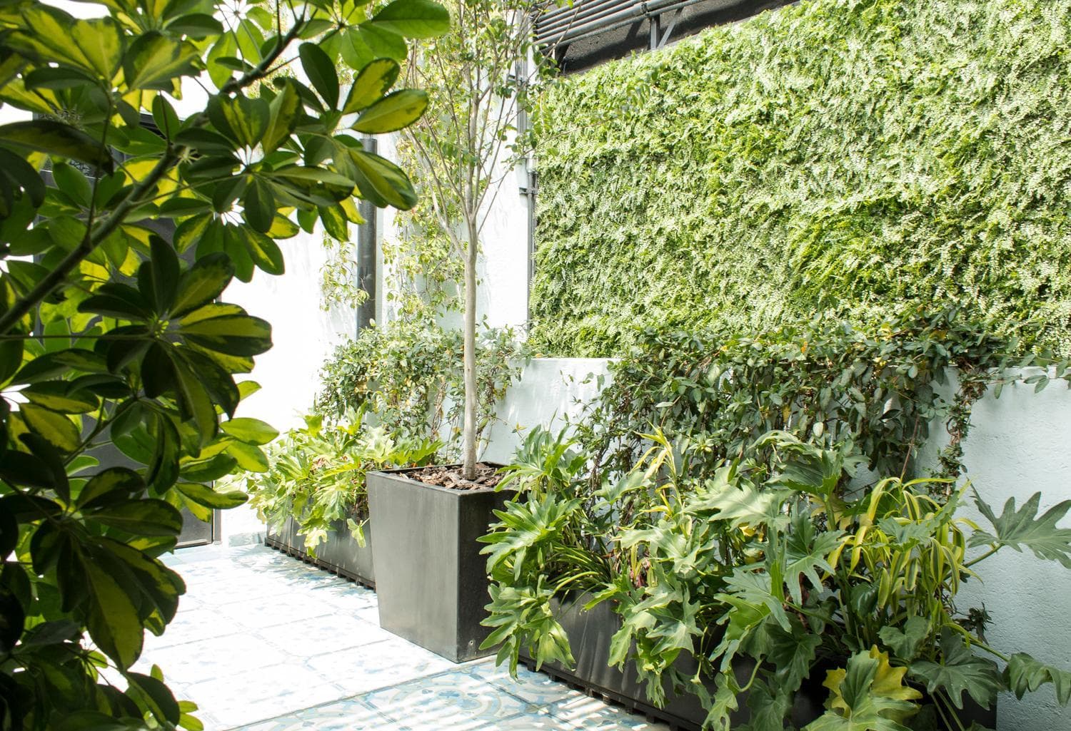 Casa Decu — 5