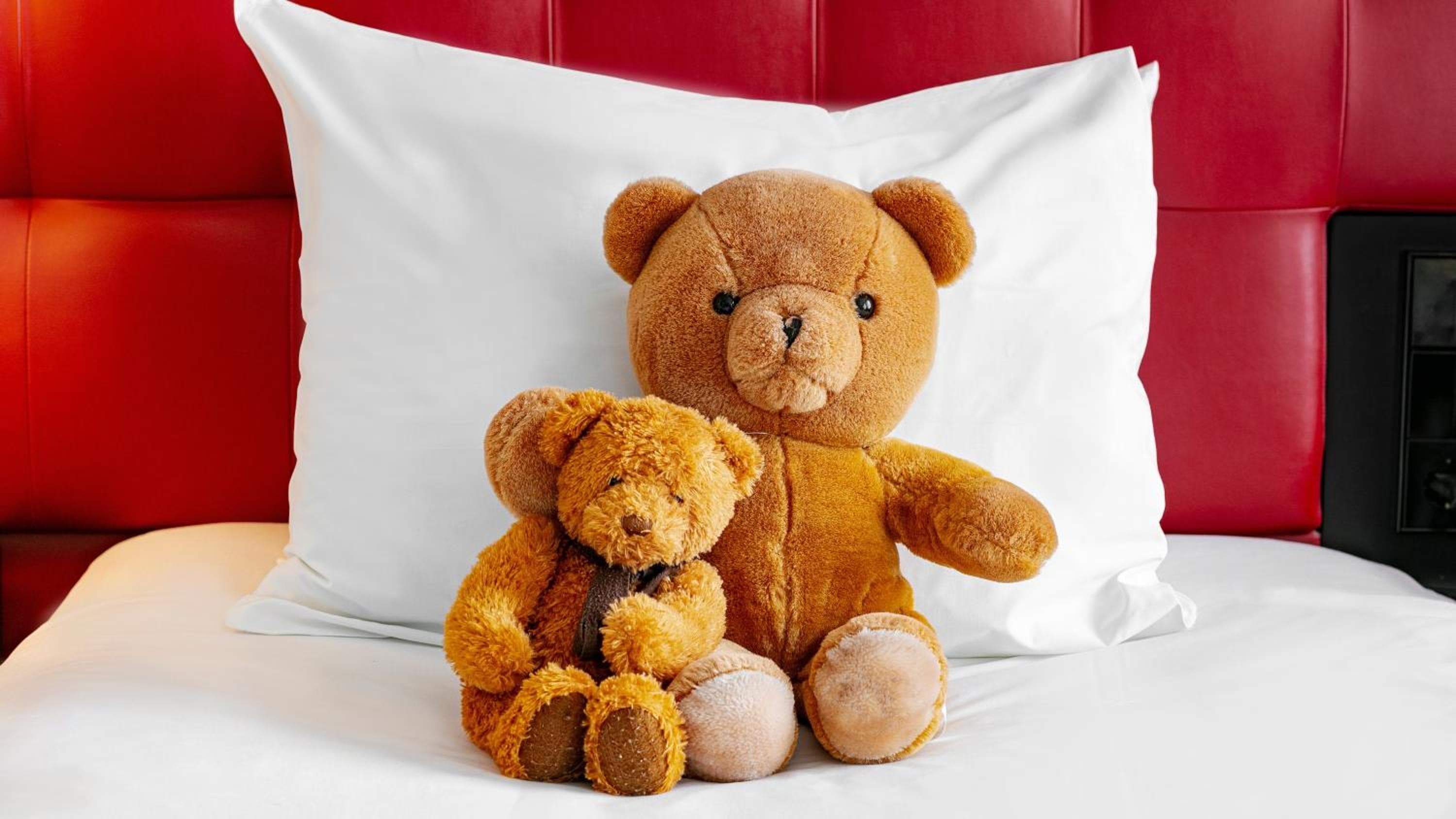 Crowne Plaza Amsterdam - South by IHG — 2