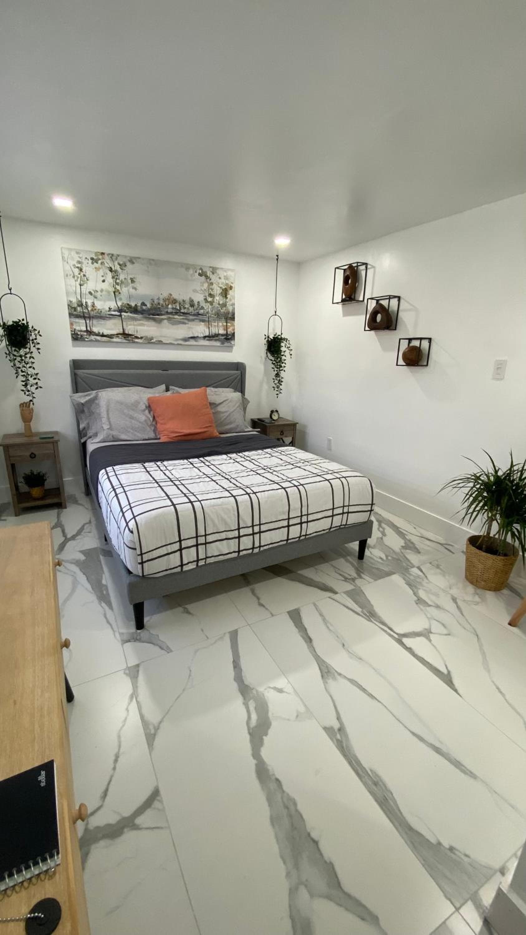 Luna y Sol Calle 8 — 7