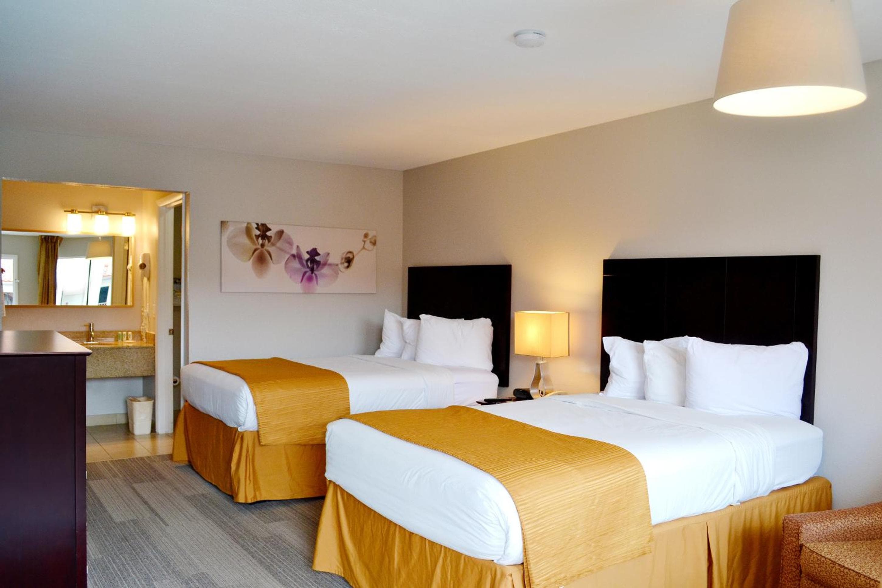 Quality Inn & Suites junto a los parques — 23